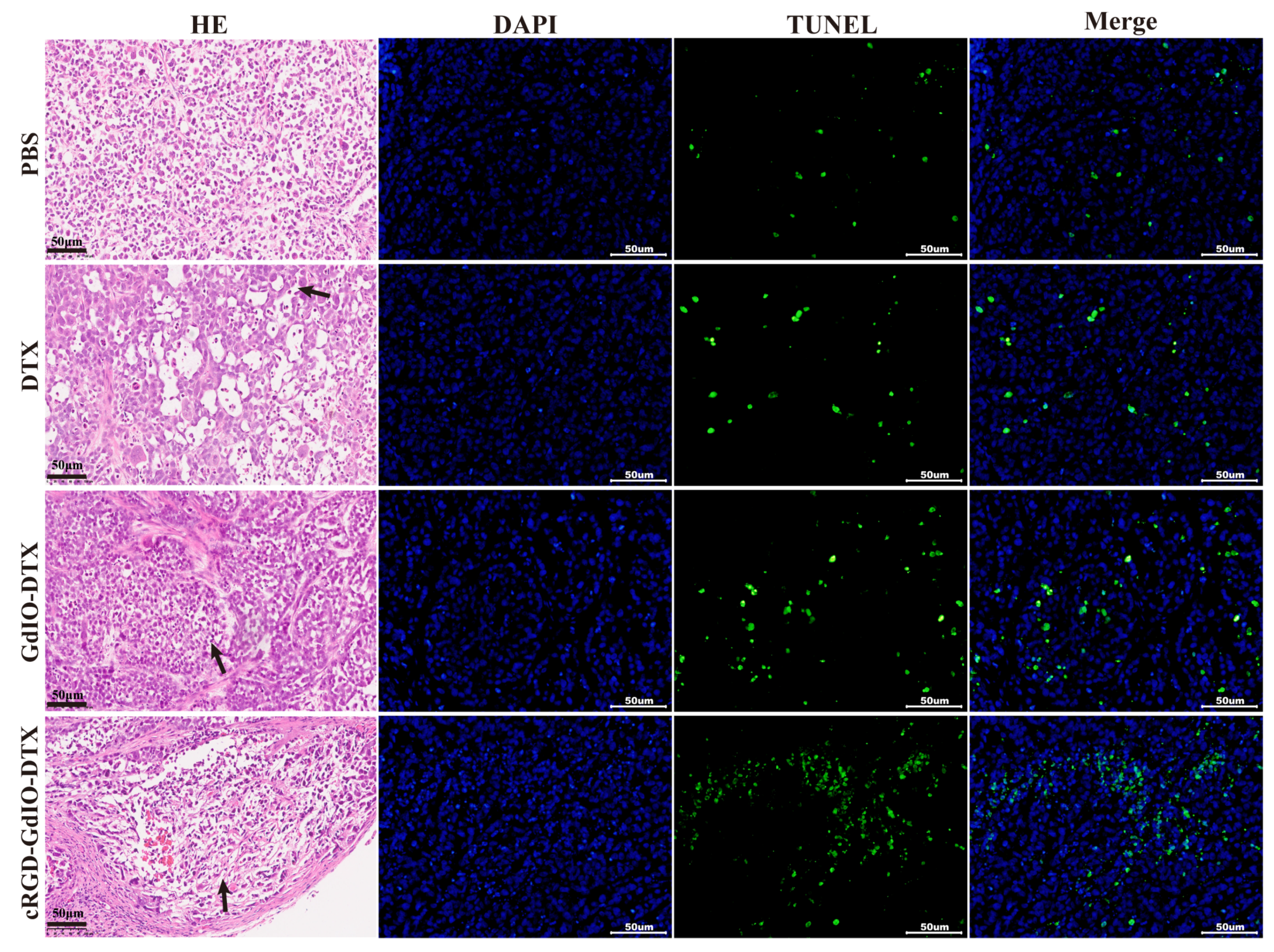 Molecules 28 06134 g009 Molecules 28 06134 g009