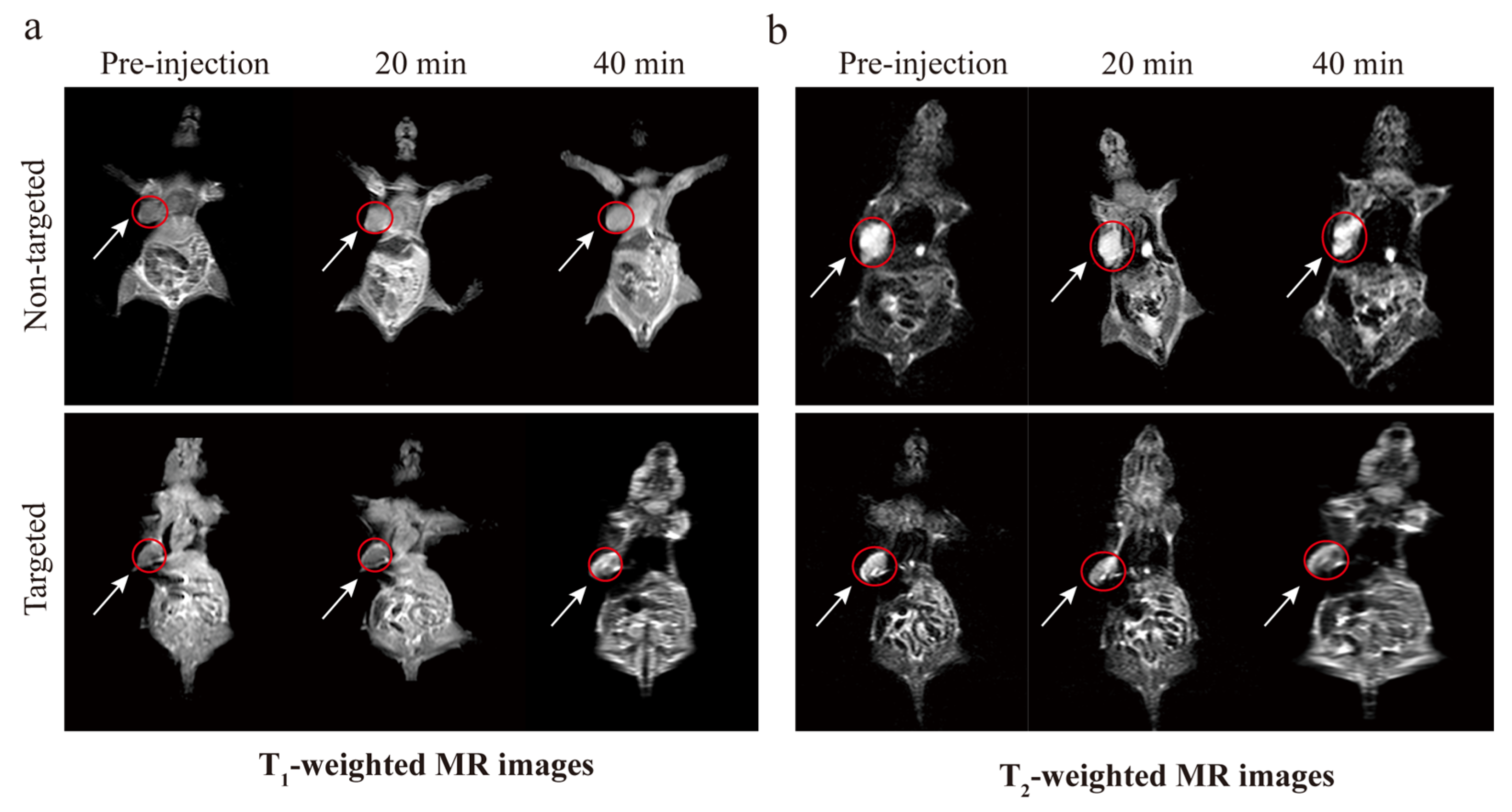 Molecules 28 06134 g010 Molecules 28 06134 g010