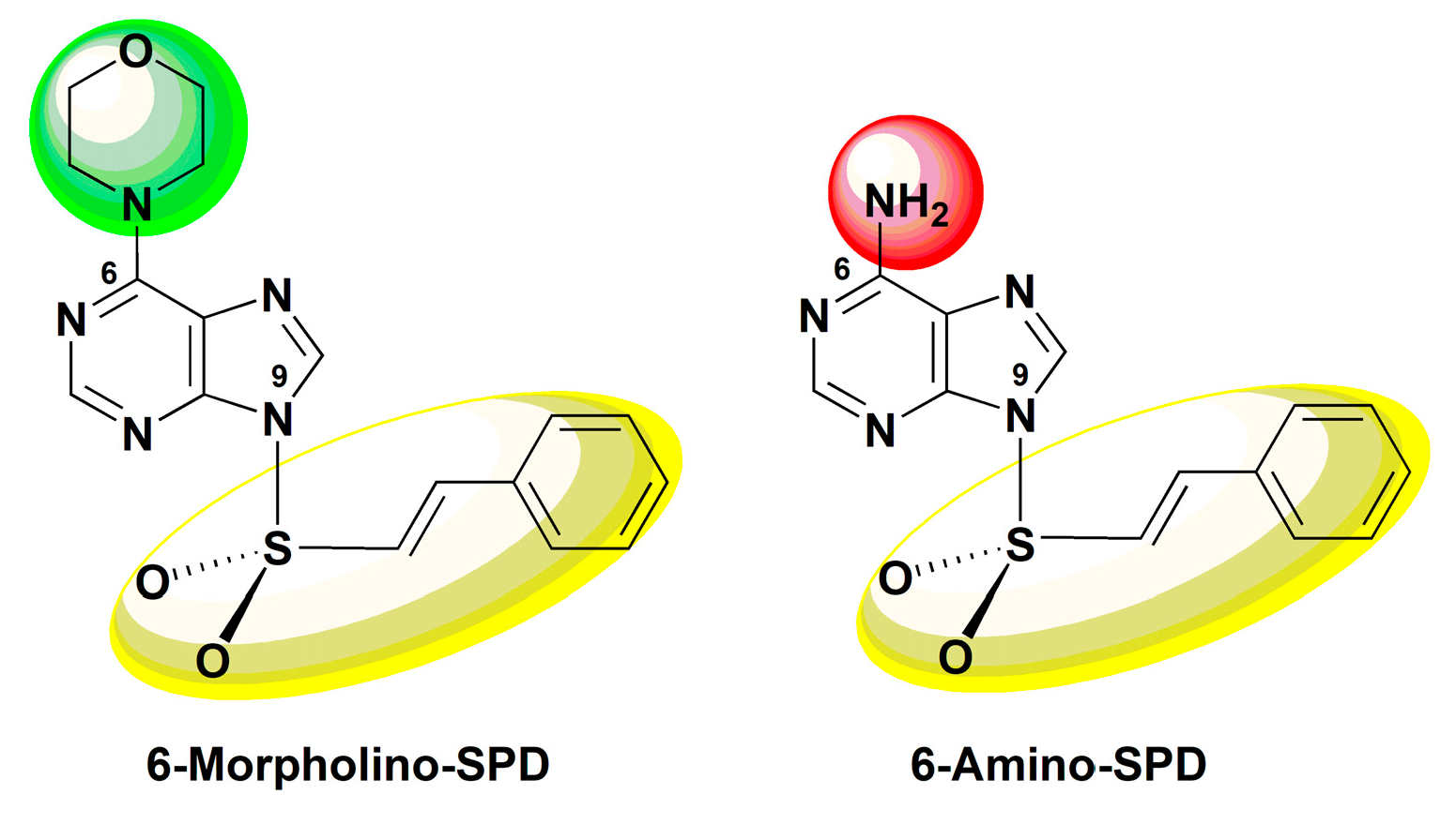 Molecules 28 06136 g001