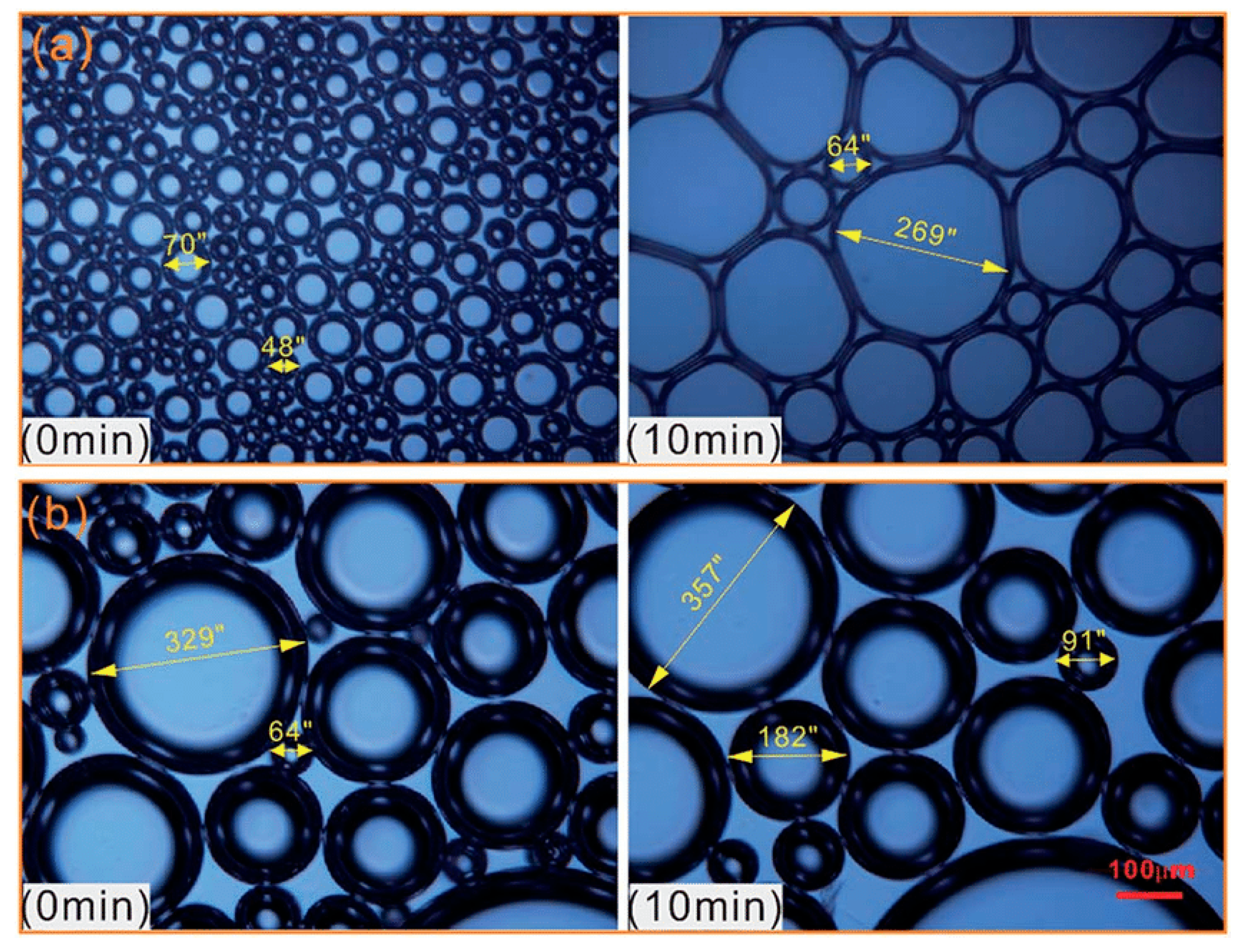 Molecules 28 06154 g015
