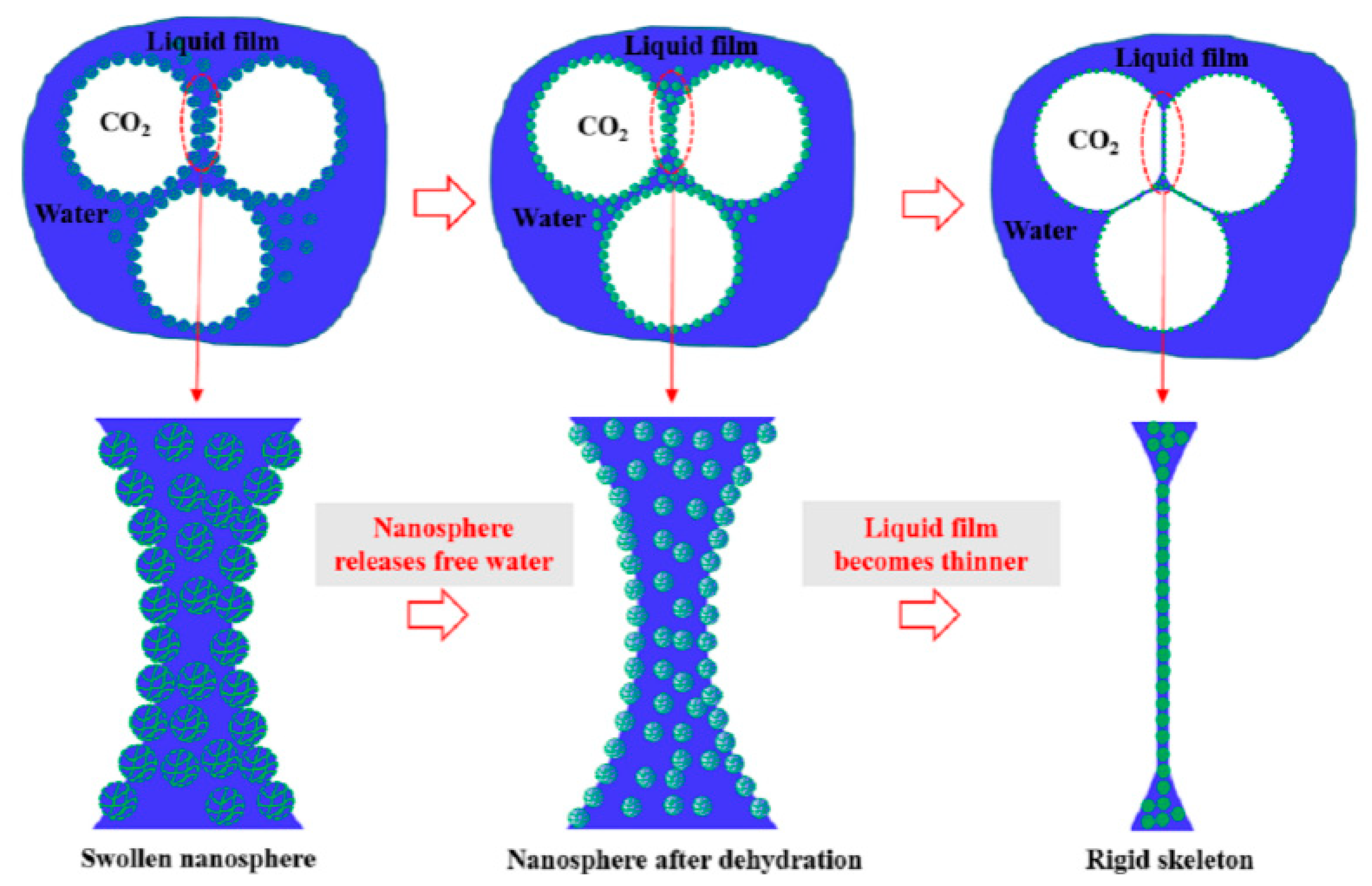 Molecules 28 06154 g016
