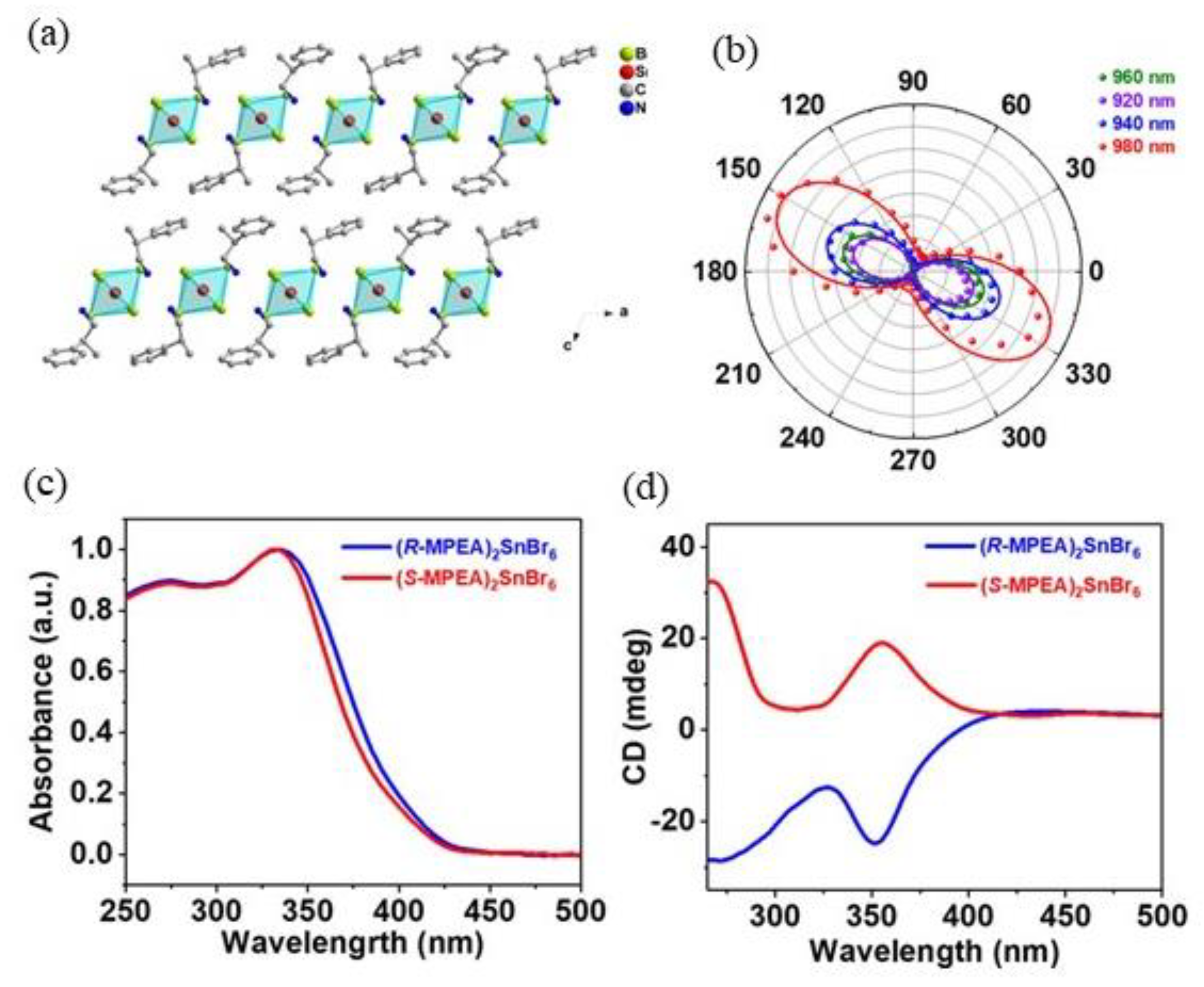 Molecules 28 06166 g002