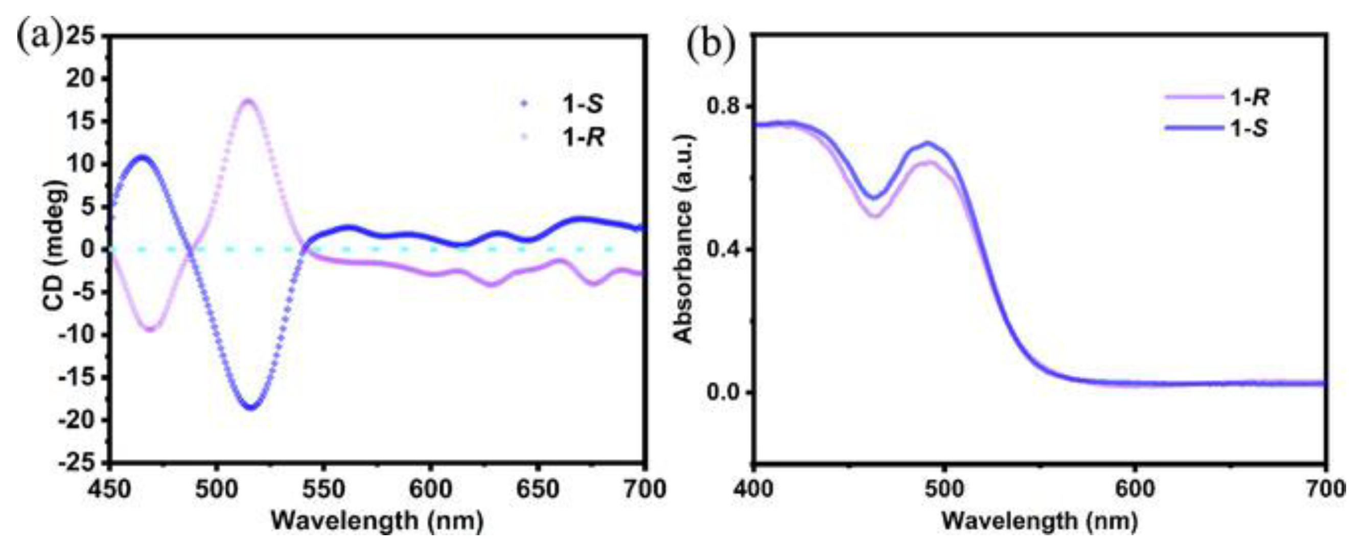 Molecules 28 06166 g006