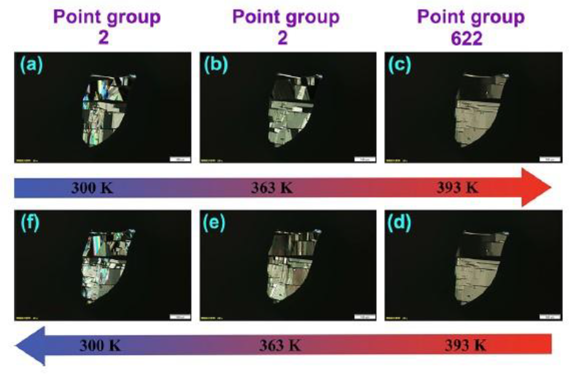 Molecules 28 06166 g007