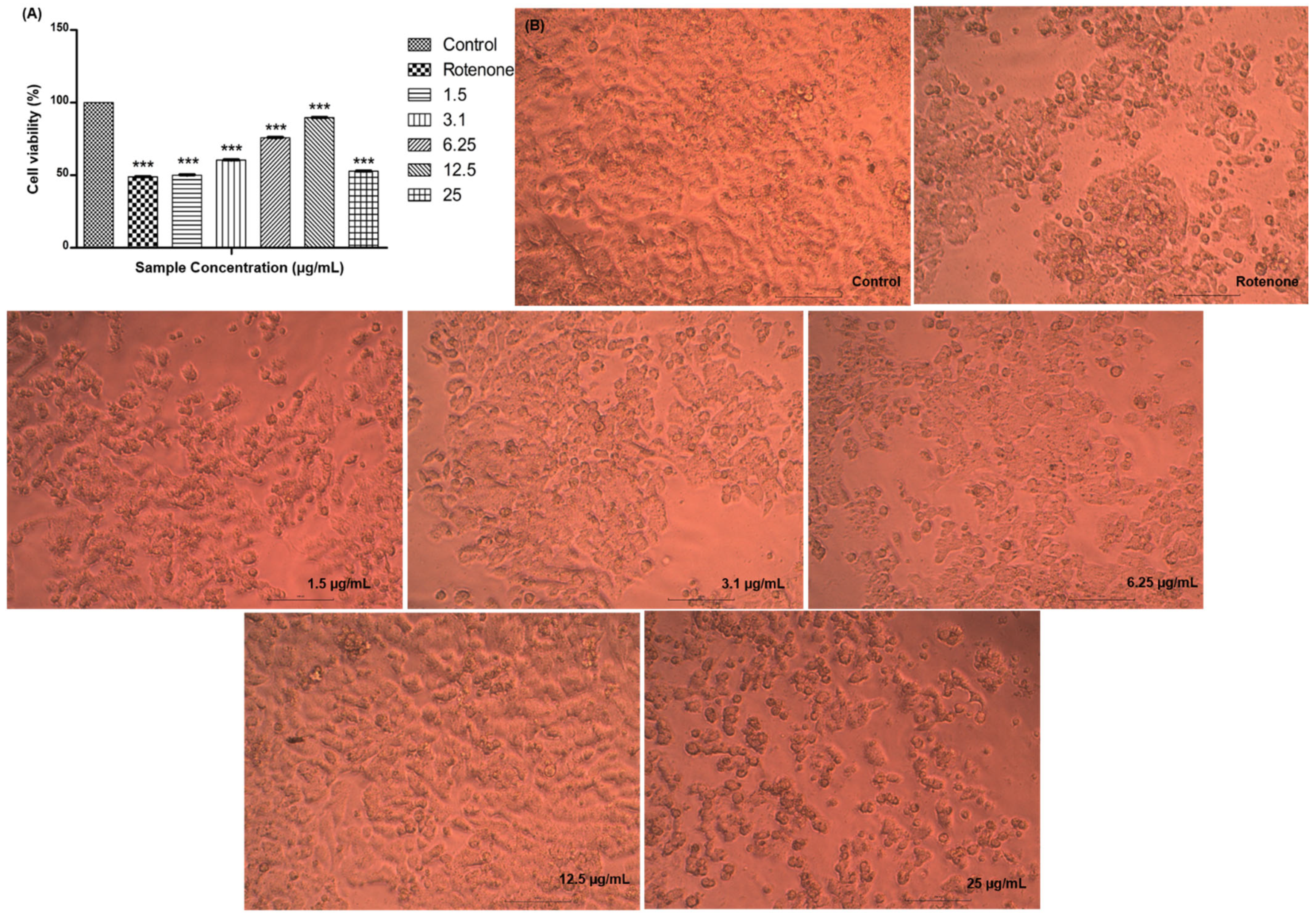 Molecules 28 06167 g006 Molecules 28 06167 g006