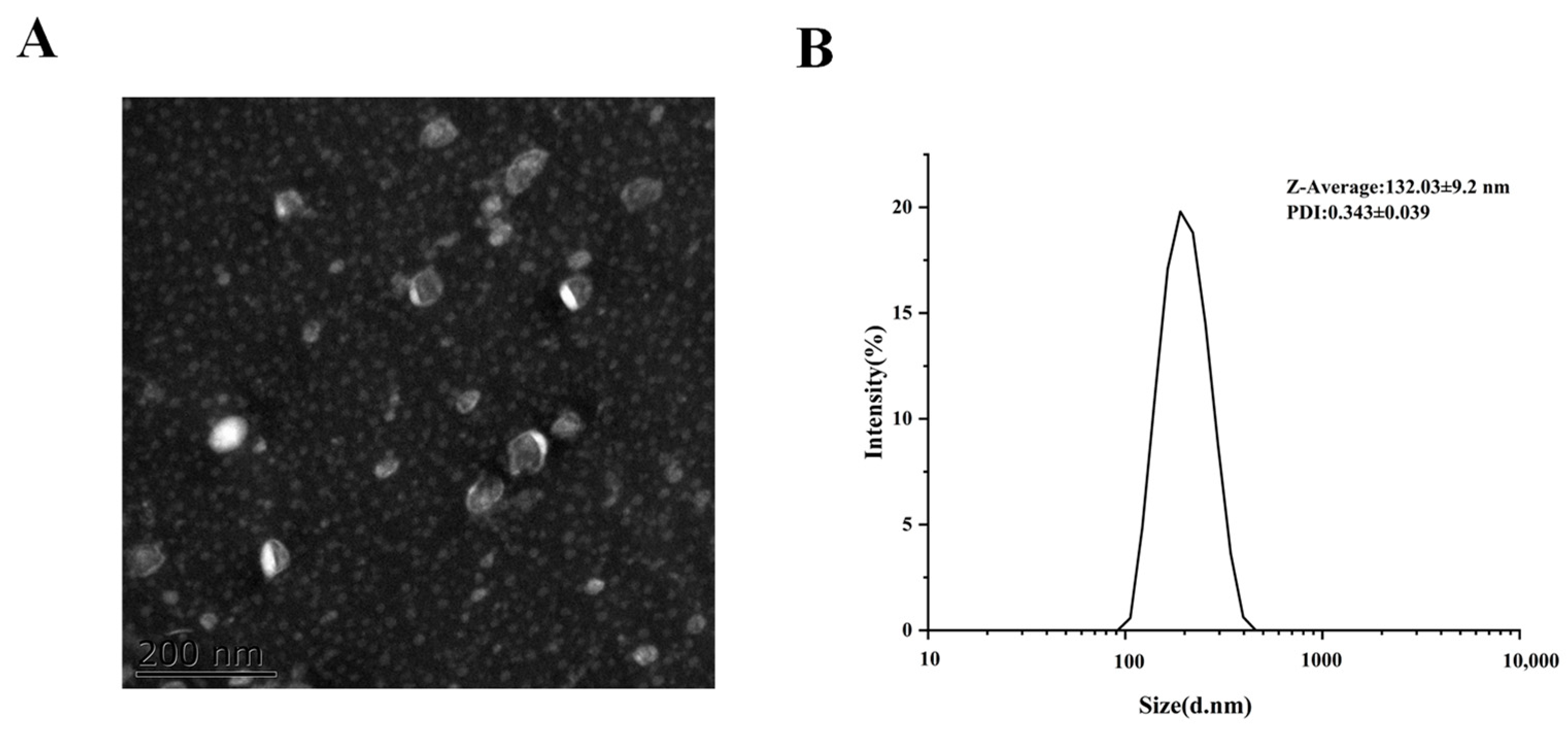 Molecules 28 06182 g001