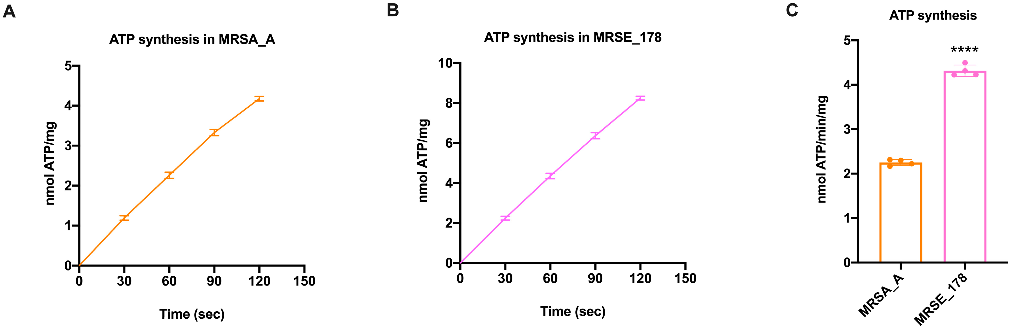 Molecules 28 06183 g001