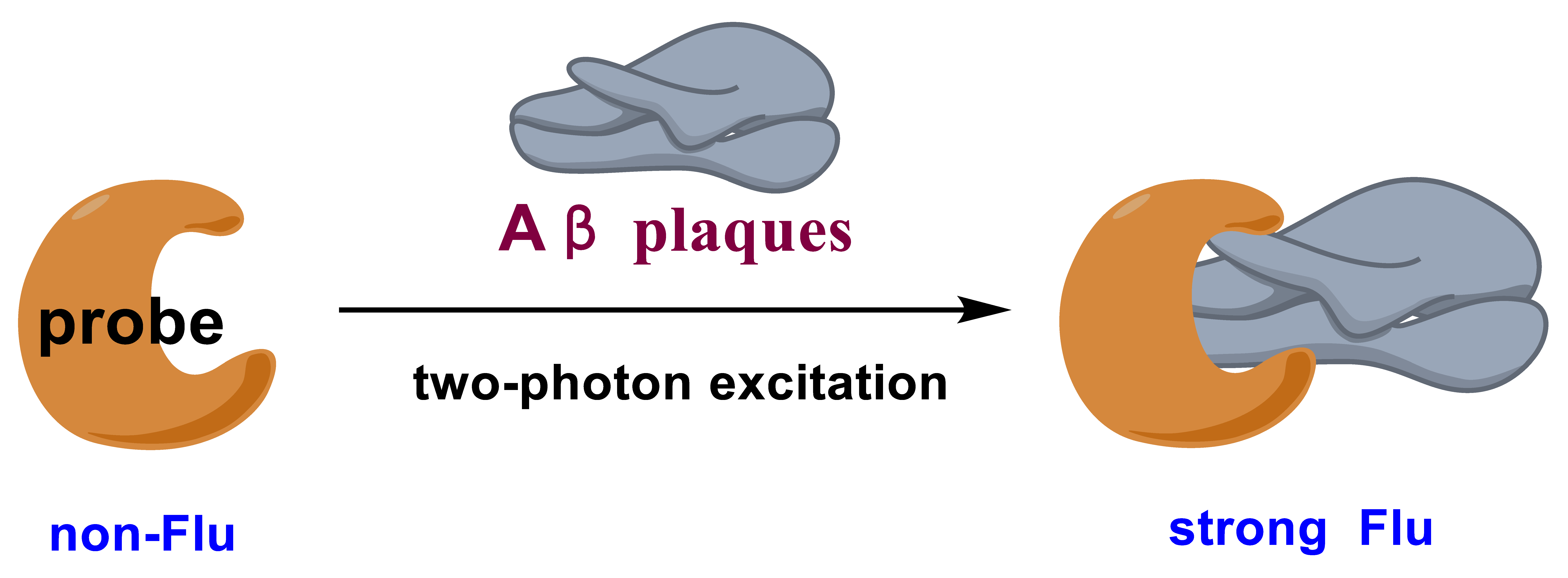 Molecules 28 06184 g001