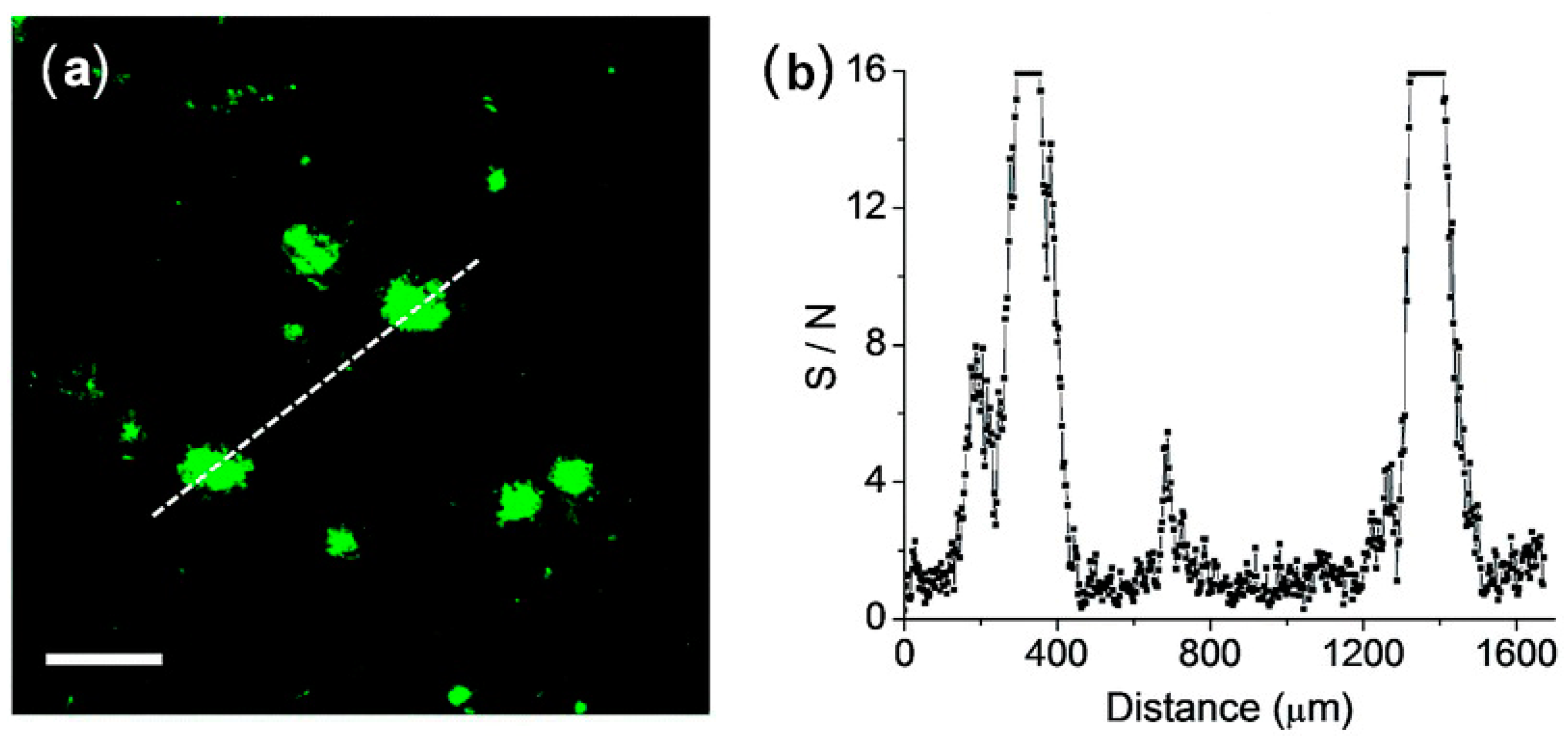 Molecules 28 06184 g006