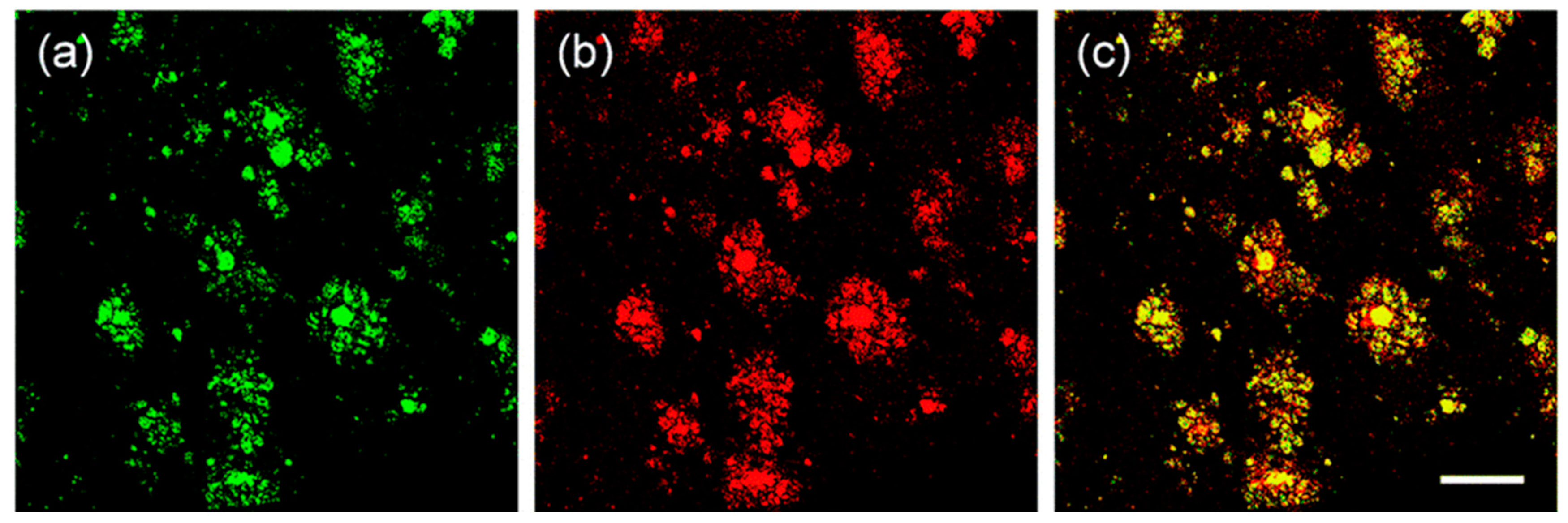 Molecules 28 06184 g007