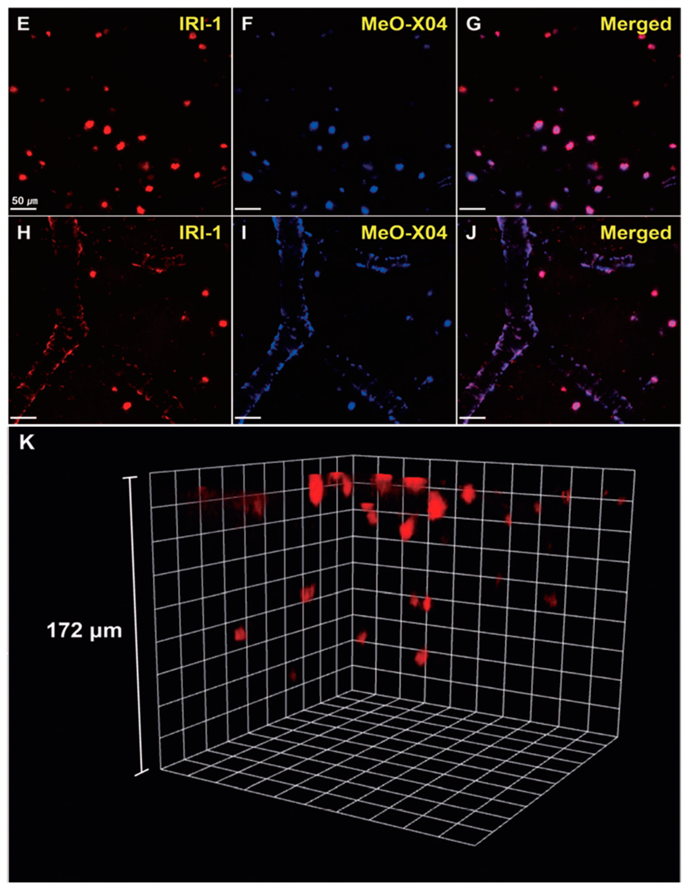 Molecules 28 06184 g013