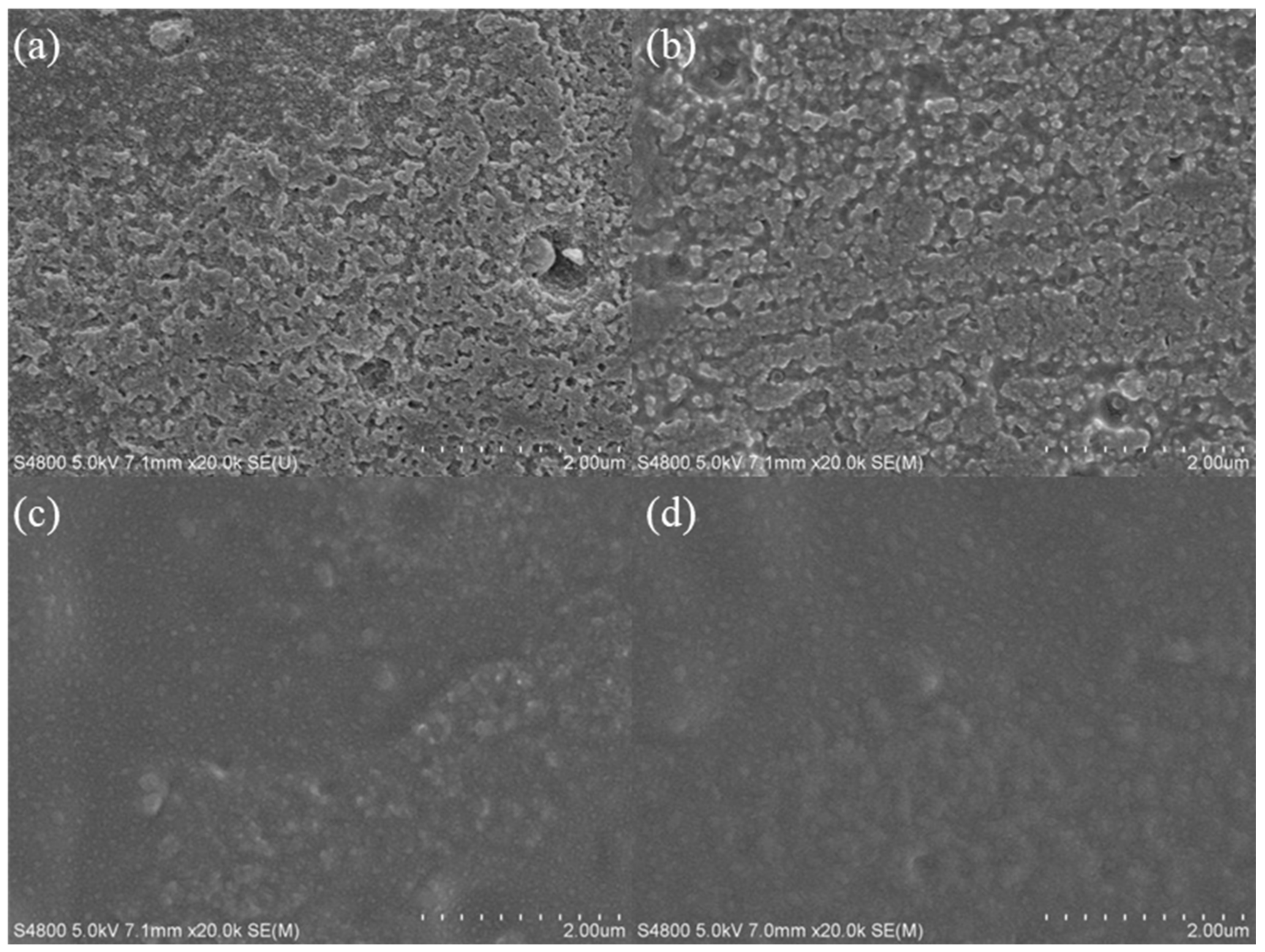 Molecules 28 06187 g003