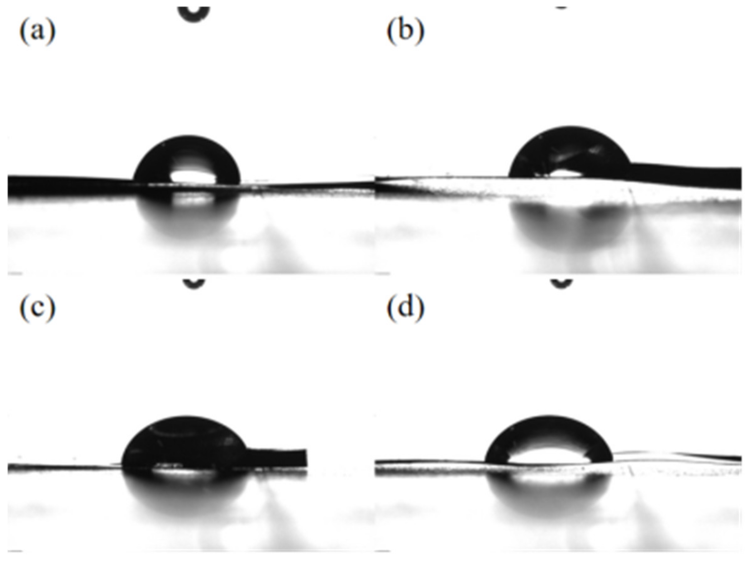Molecules 28 06187 g007