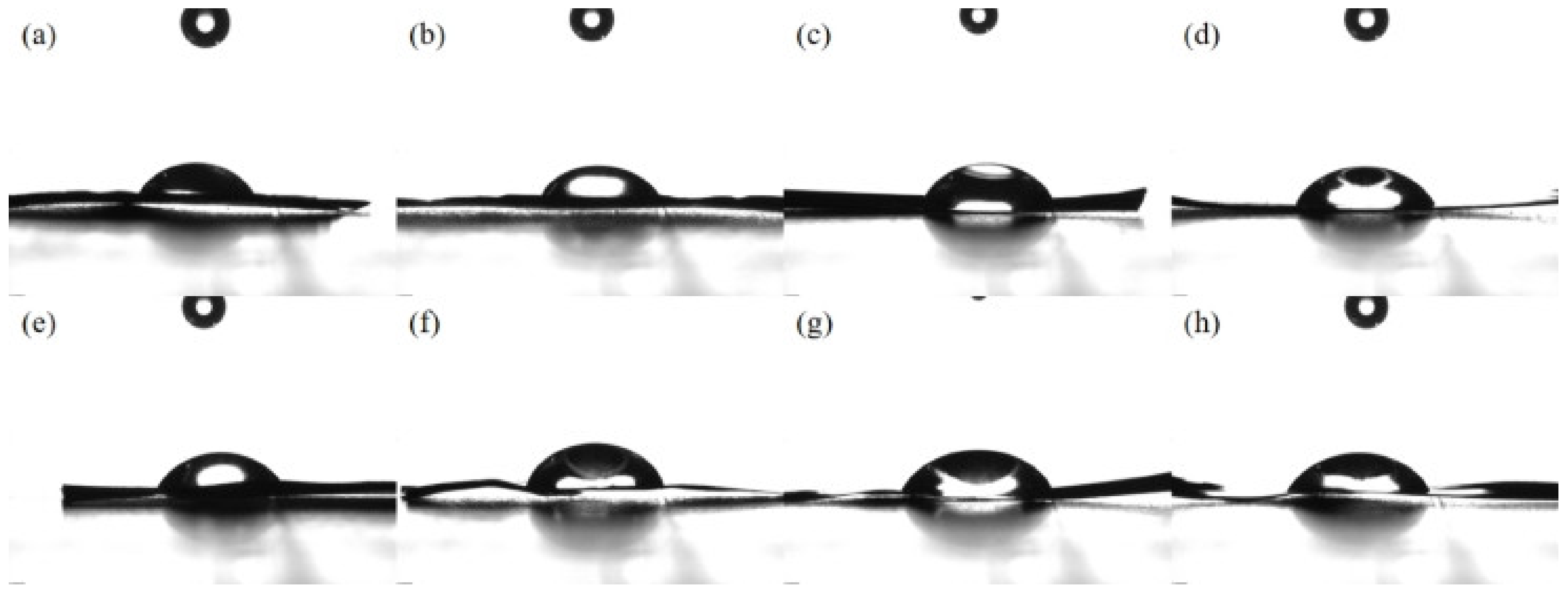 Molecules 28 06187 g008