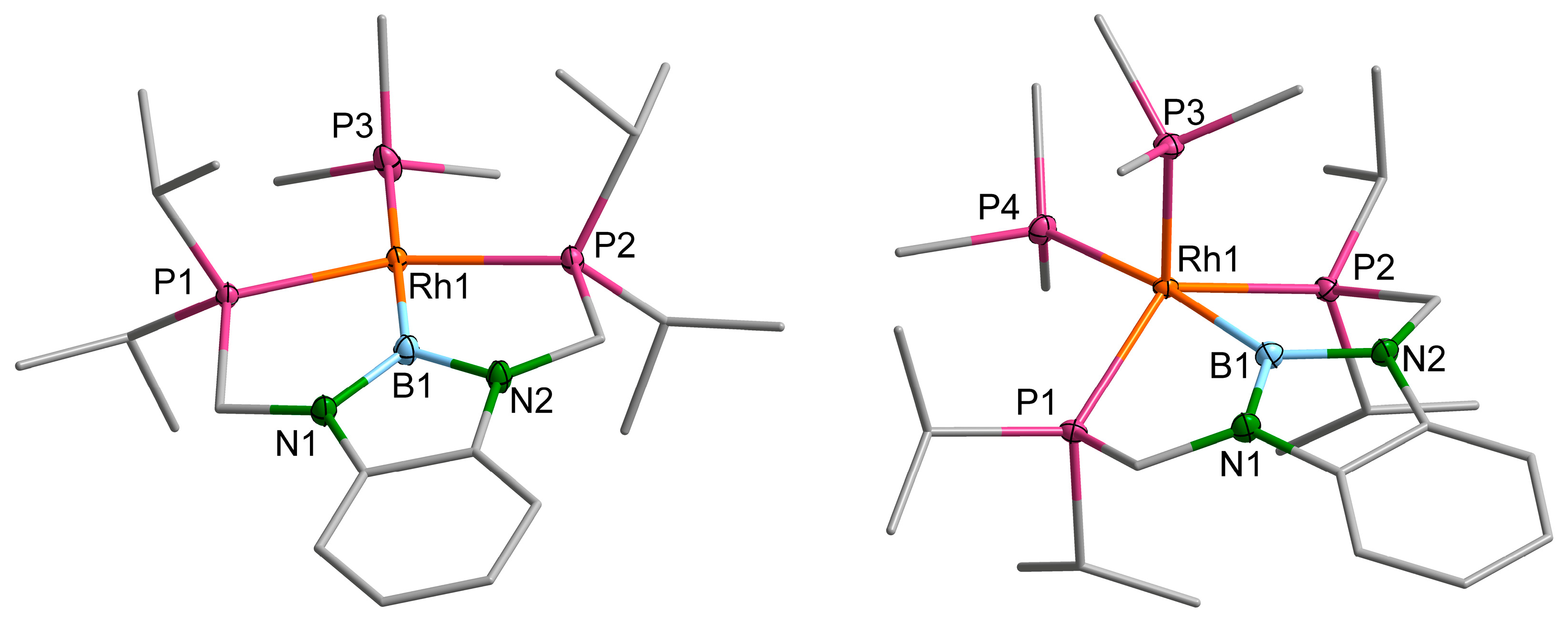 Molecules 28 06191 g003