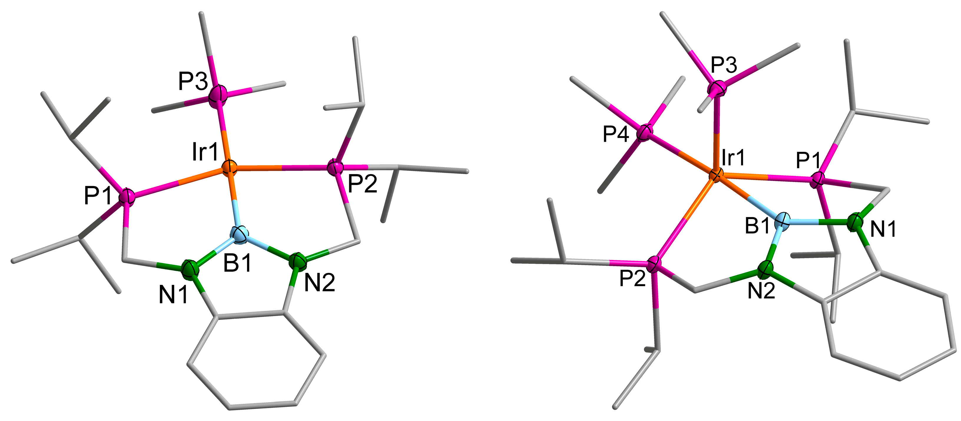 Molecules 28 06191 g007