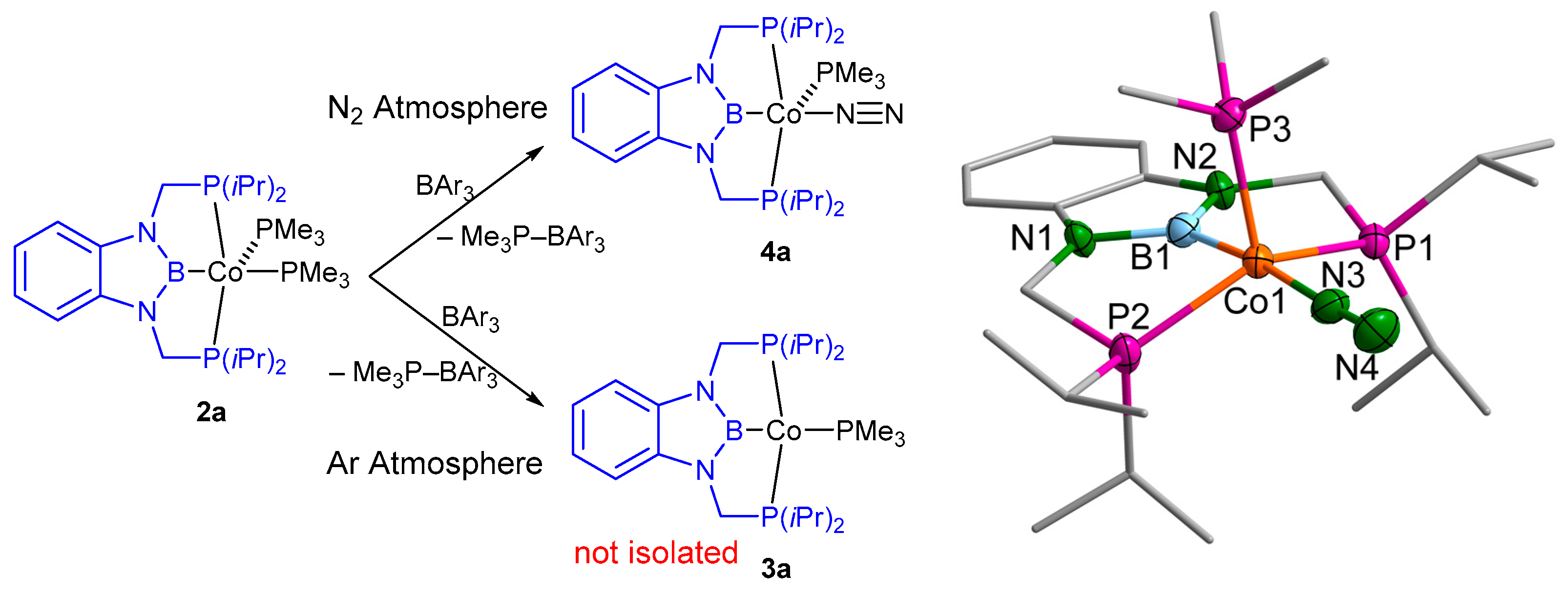 Molecules 28 06191 sch003