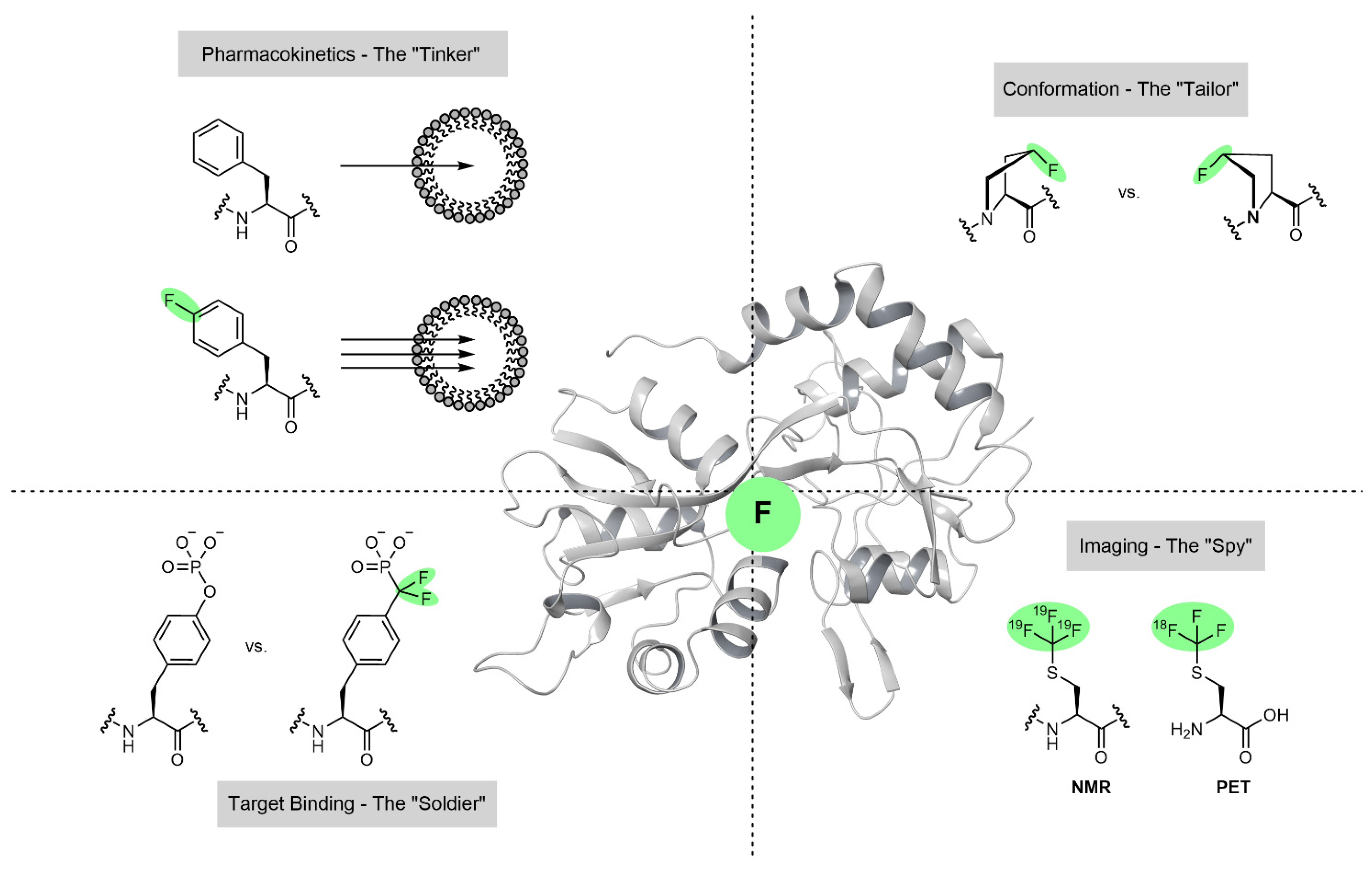Molecules 28 06192 g001