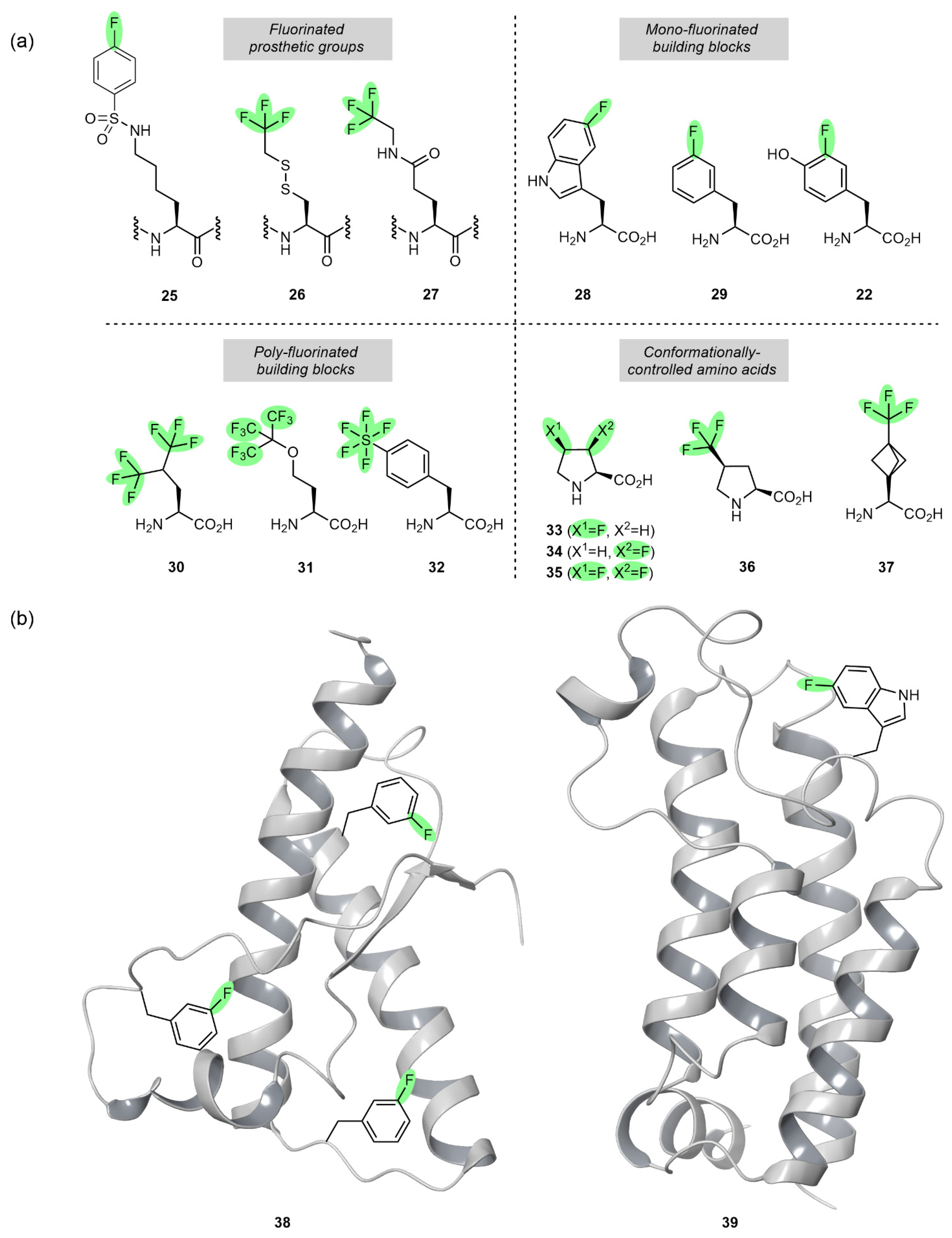 Molecules 28 06192 g002