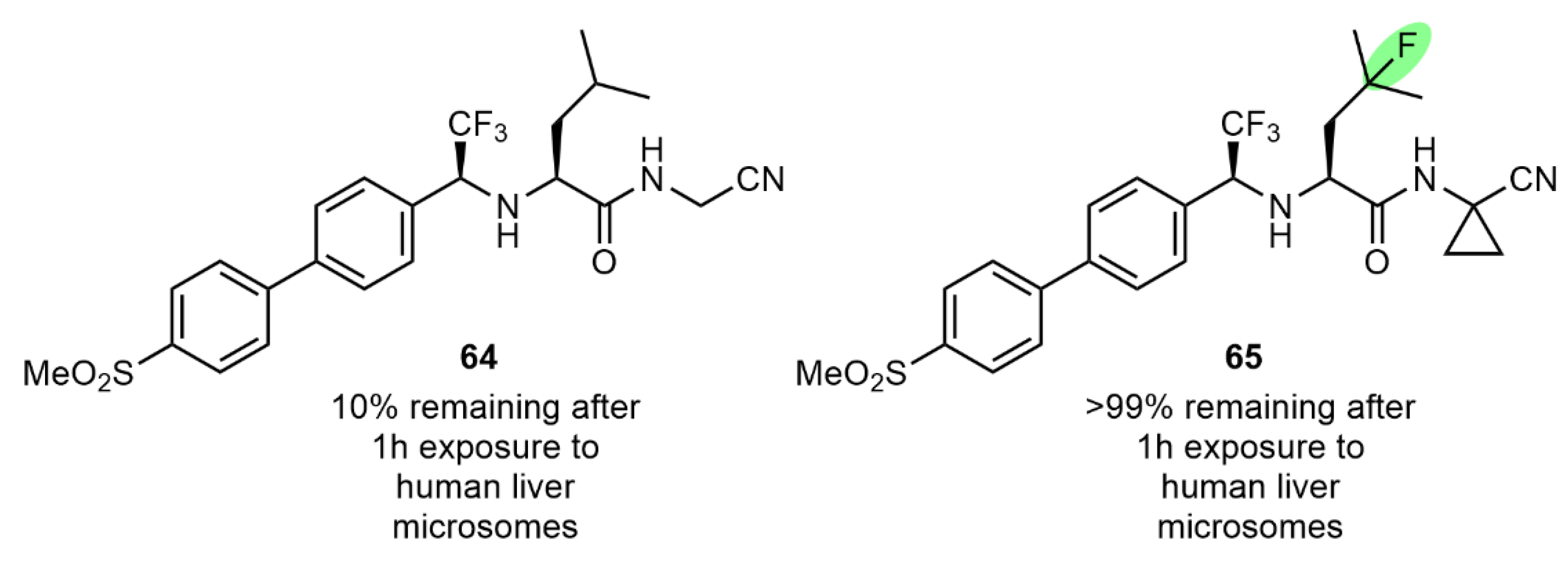 Molecules 28 06192 g006