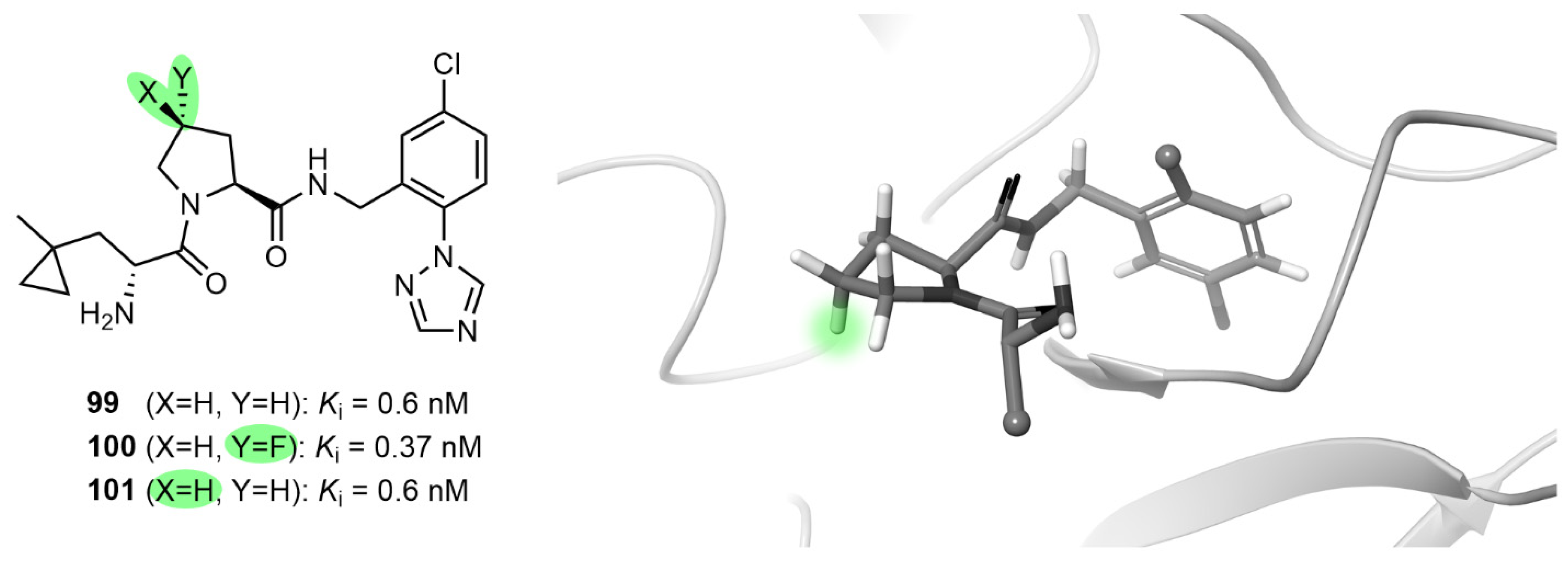Molecules 28 06192 g012