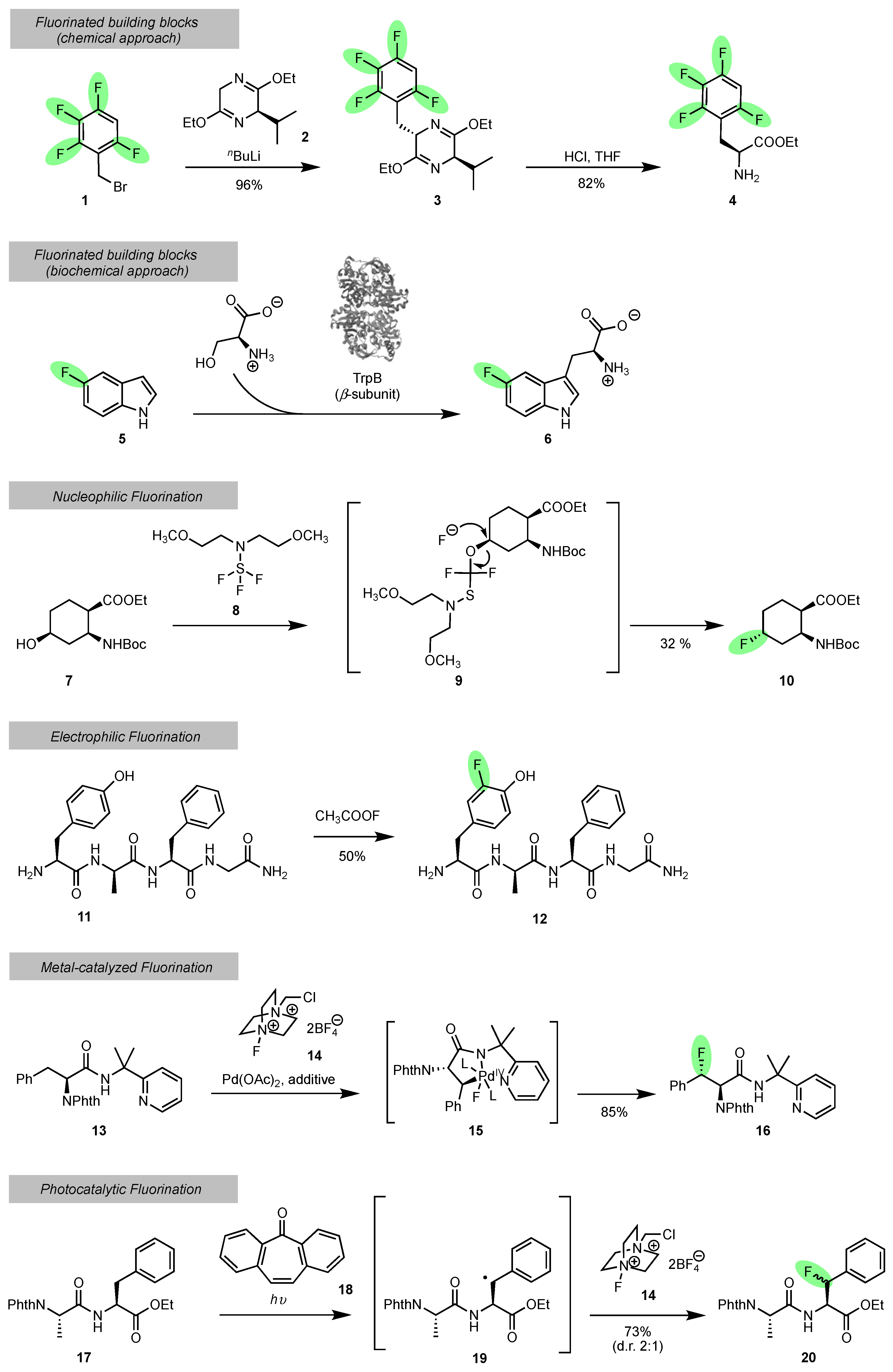 Molecules 28 06192 sch001