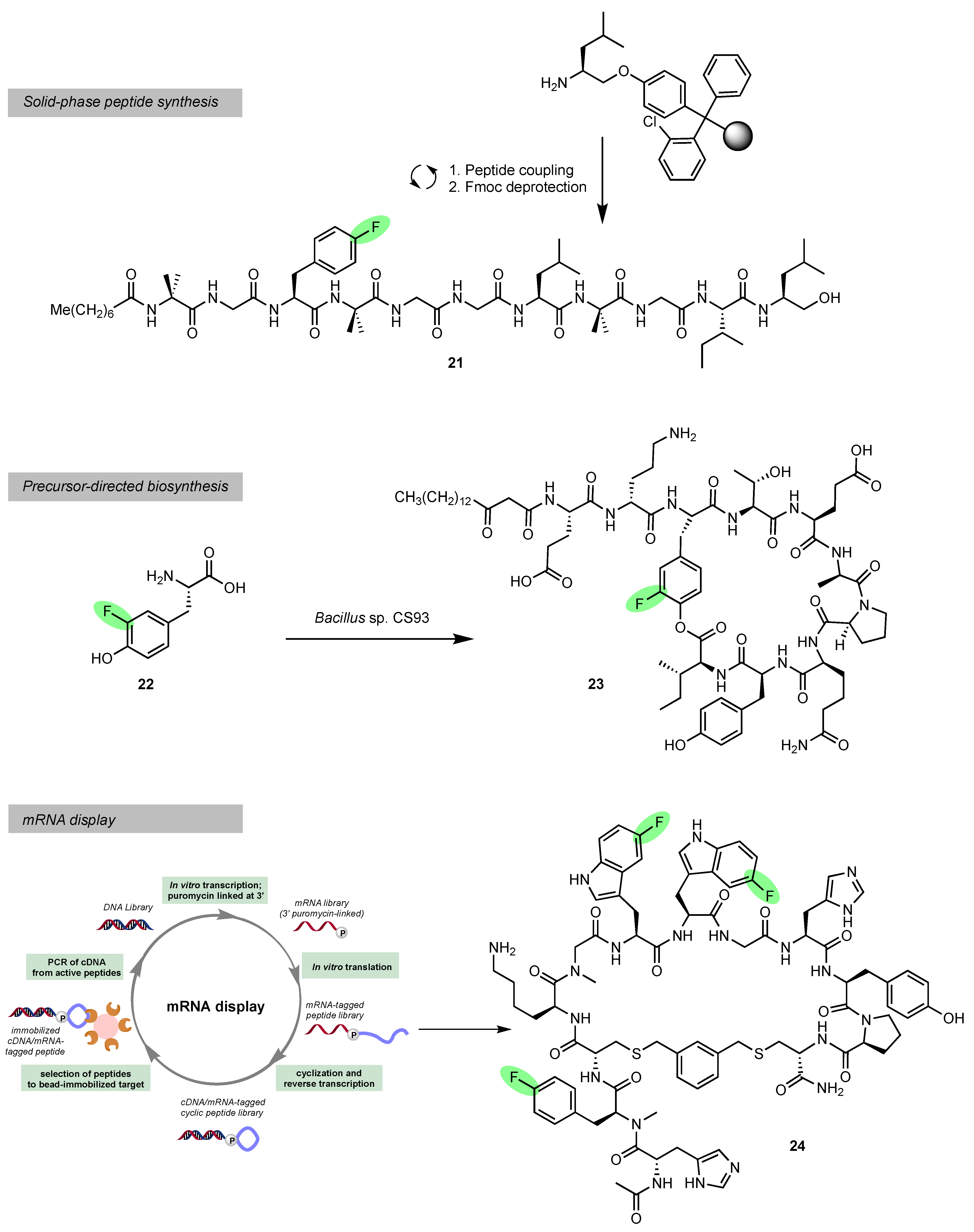 Molecules 28 06192 sch002