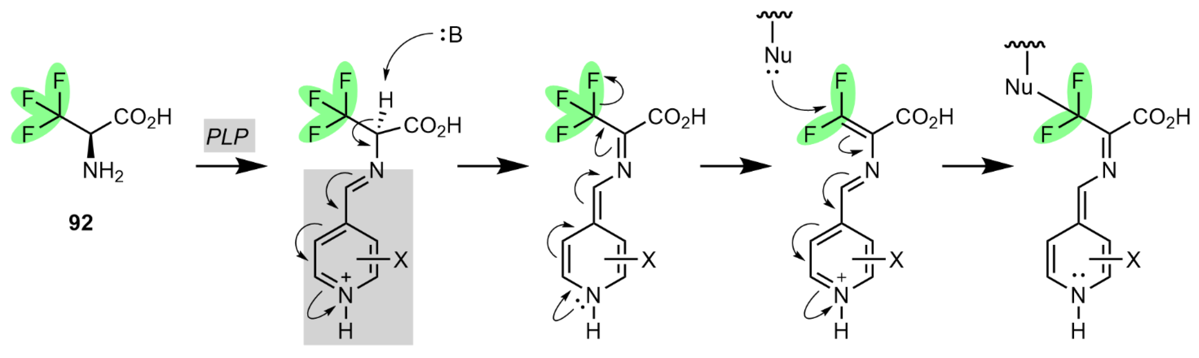 Molecules 28 06192 sch003
