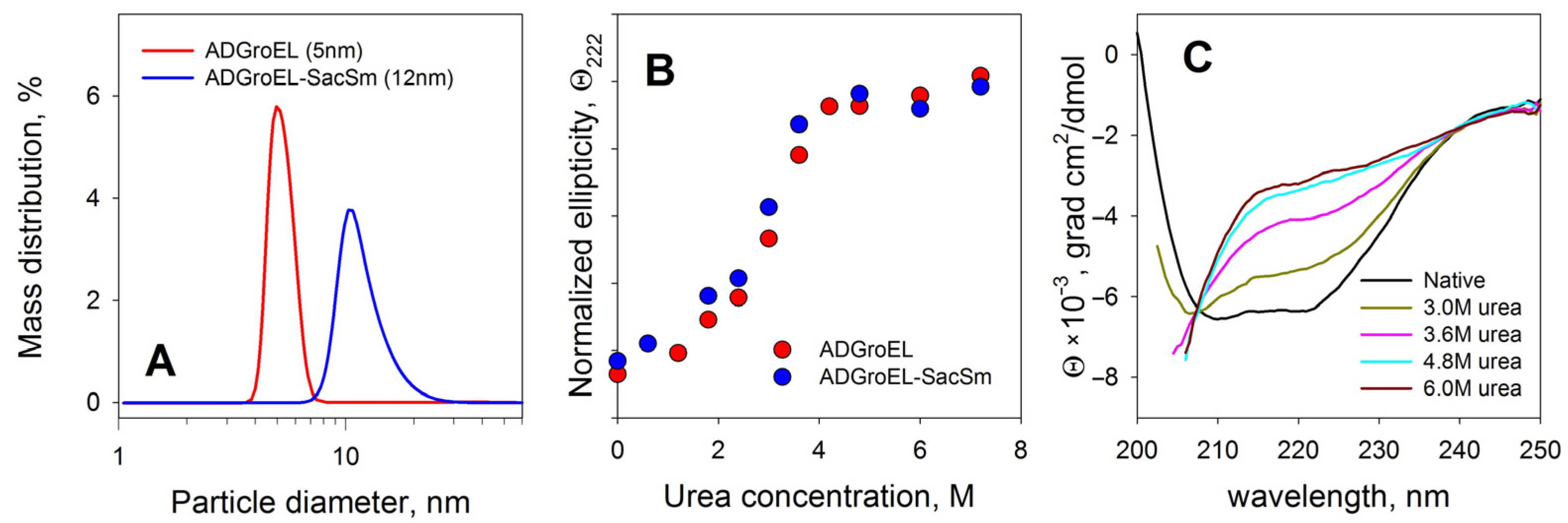 Molecules 28 06196 g001