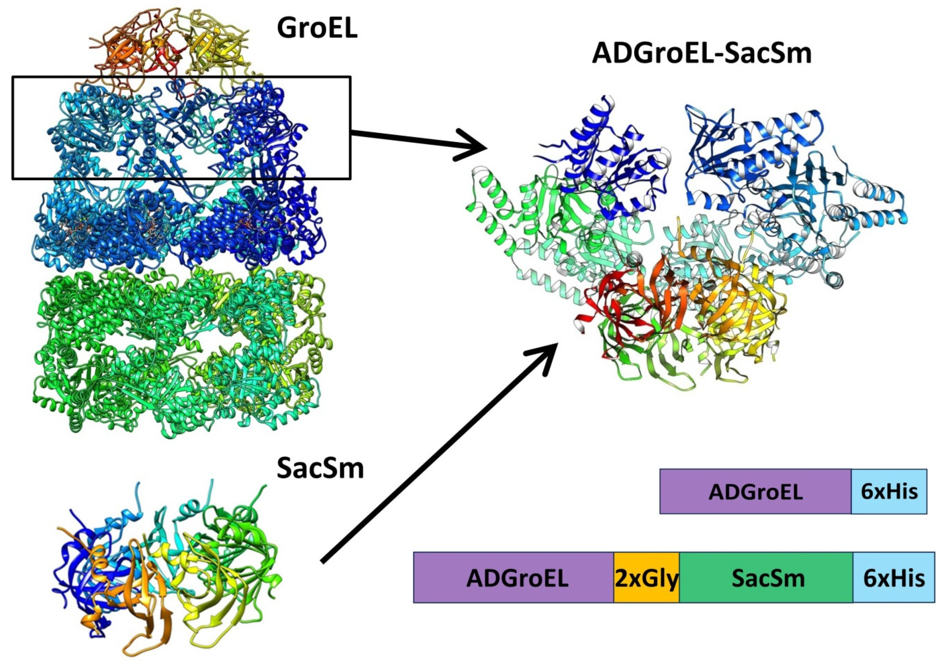 Molecules 28 06196 g003
