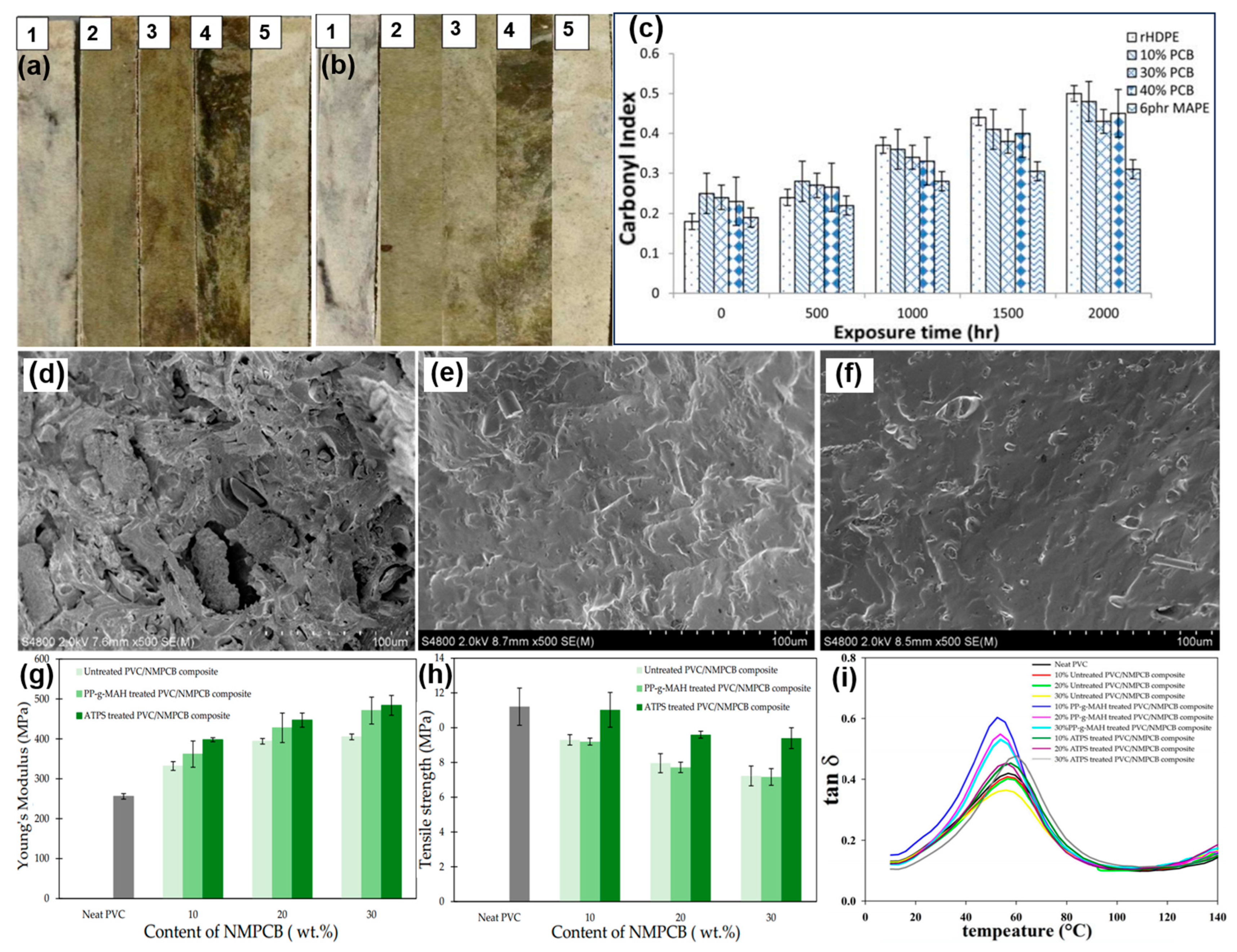Molecules 28 06199 g005