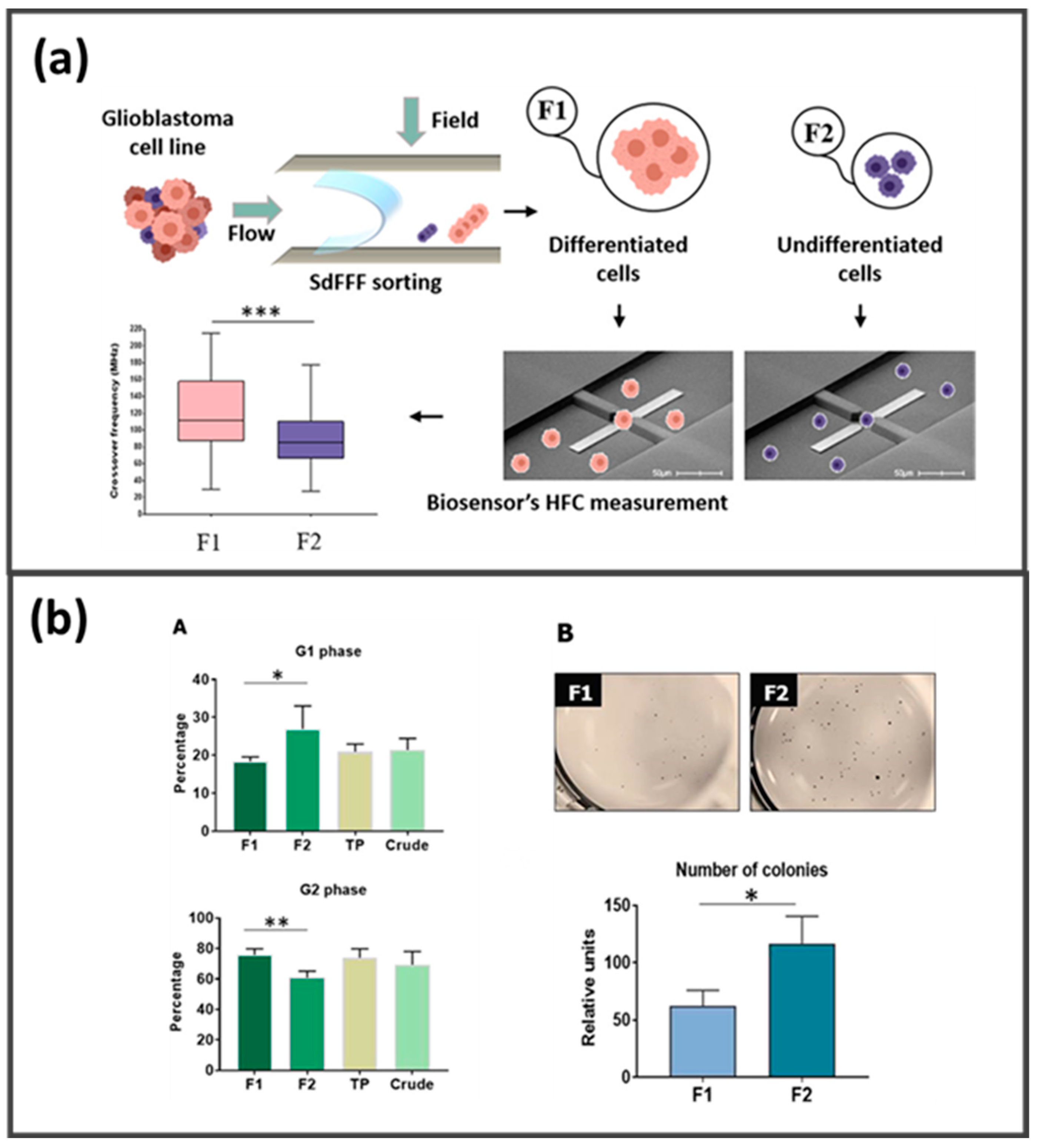 Molecules 28 06201 g009