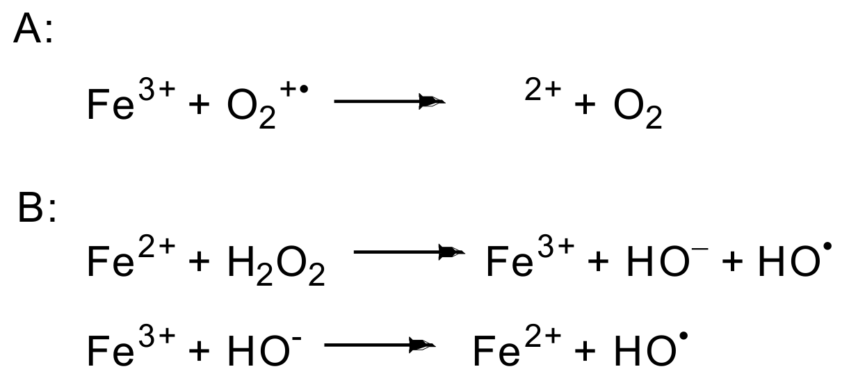 Molecules 28 06203 sch004 Molecules 28 06203 sch004