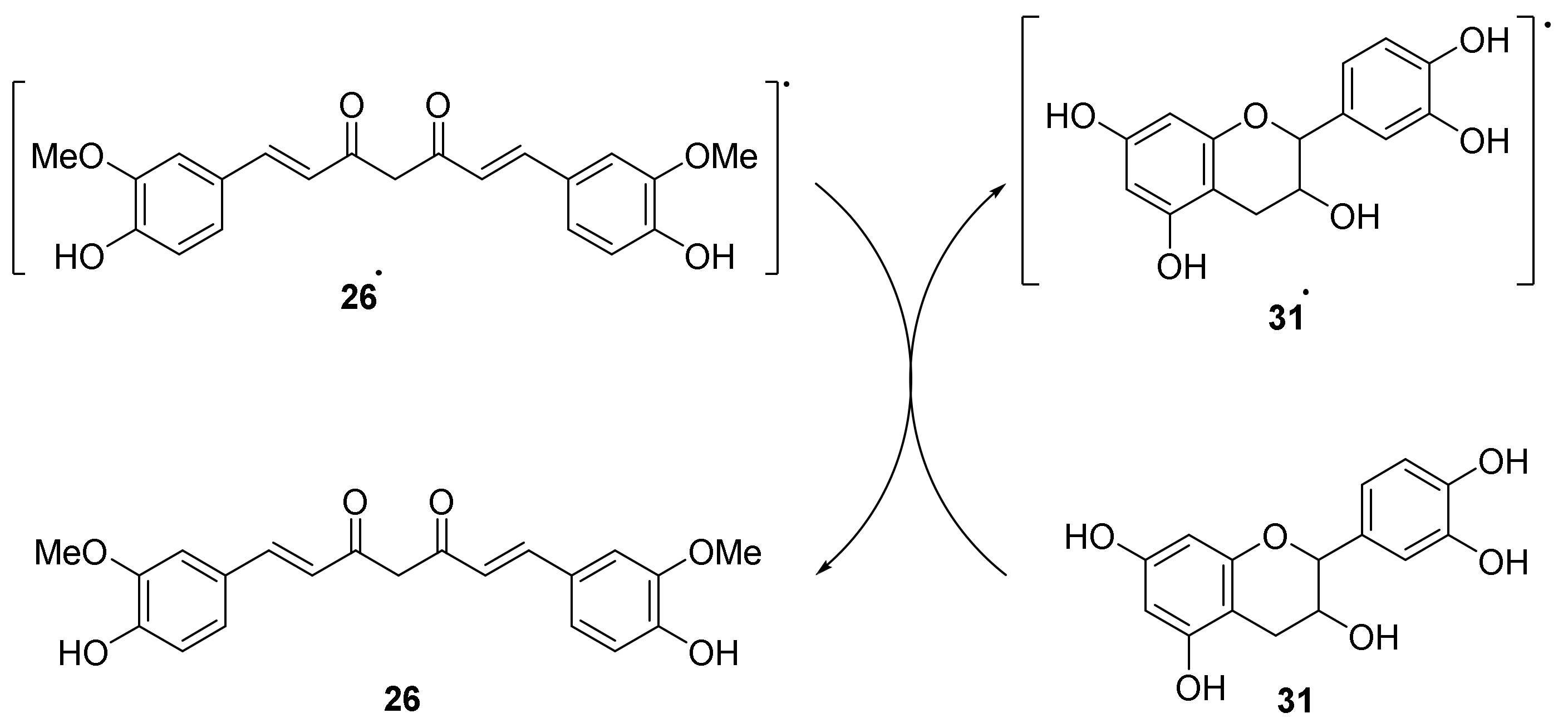 Molecules 28 06203 sch011 Molecules 28 06203 sch011