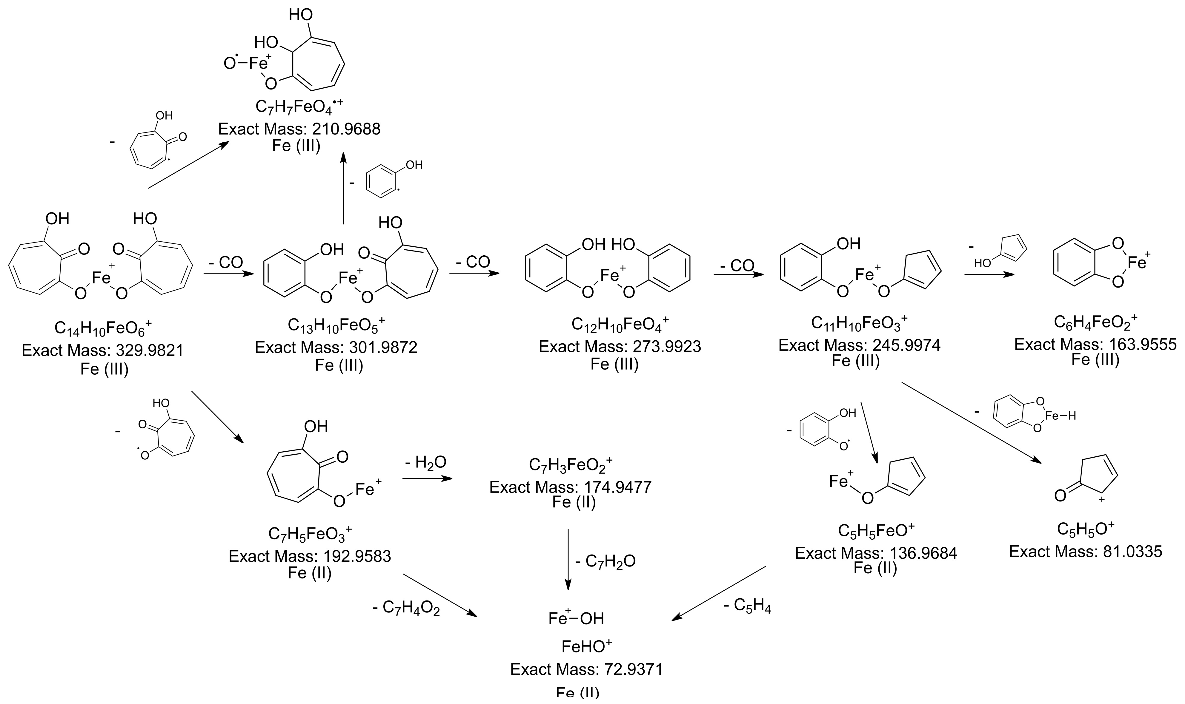 Molecules 28 06207 g006