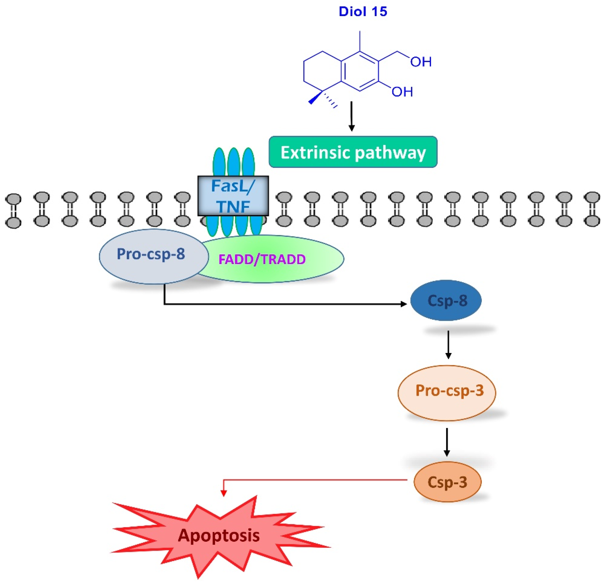 Molecules 28 06208 g010