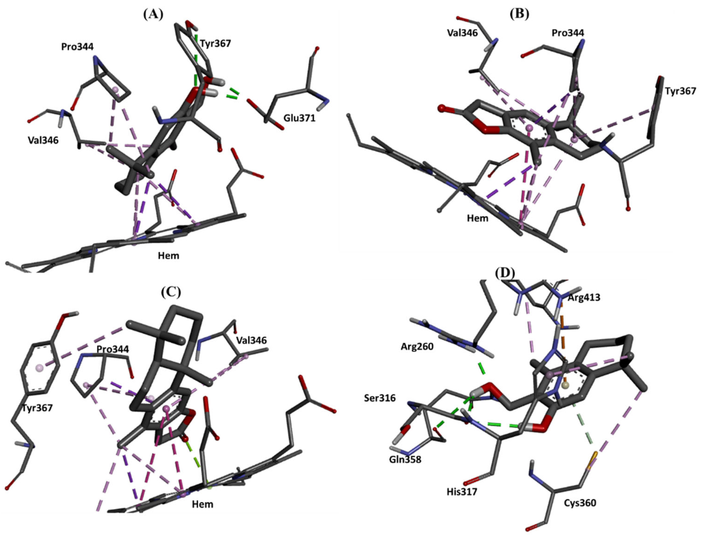 Molecules 28 06208 g011