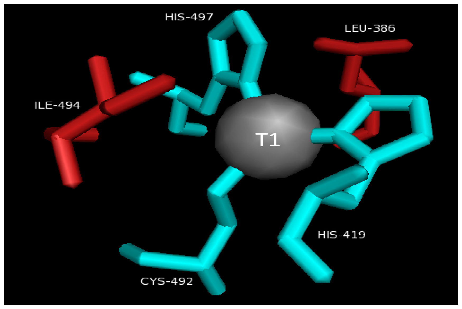 Molecules 28 06209 g002 Molecules 28 06209 g002