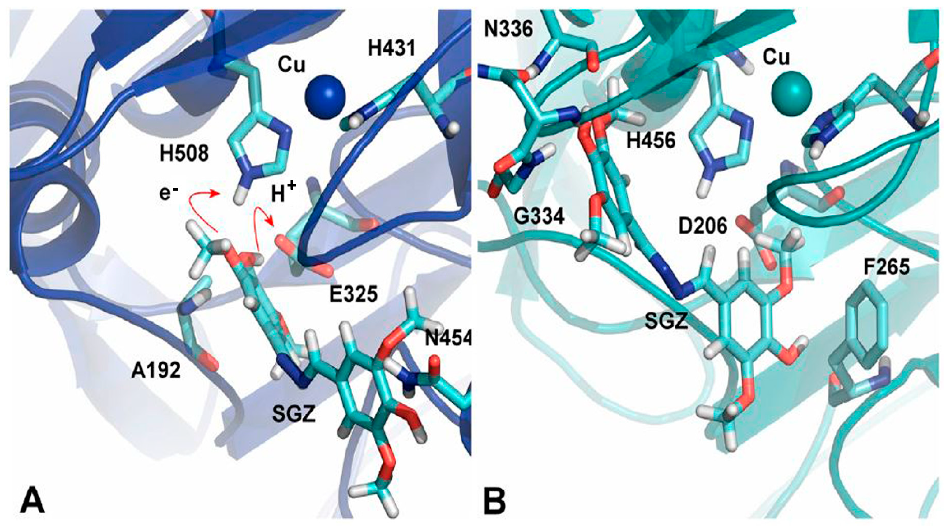 Molecules 28 06209 g006 Molecules 28 06209 g006
