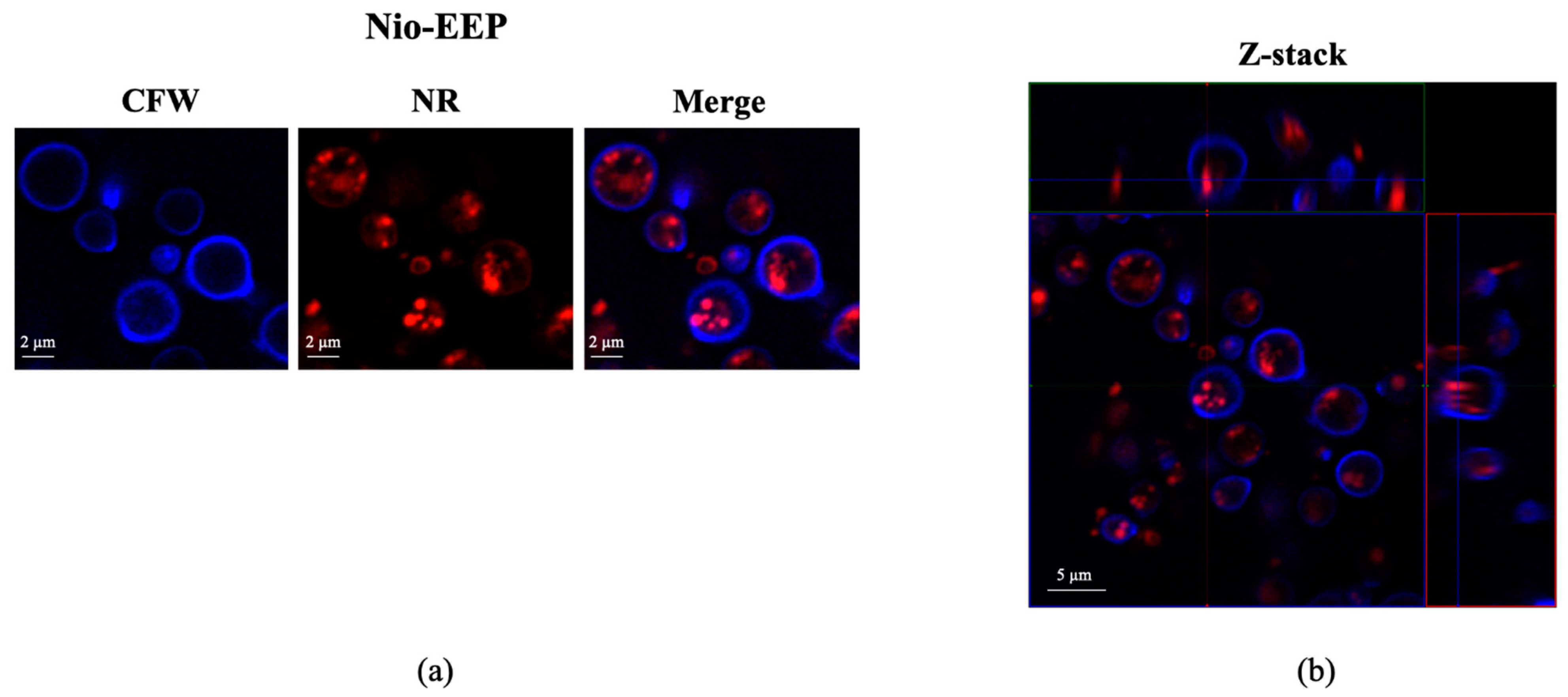 Molecules 28 06224 g004 Molecules 28 06224 g004