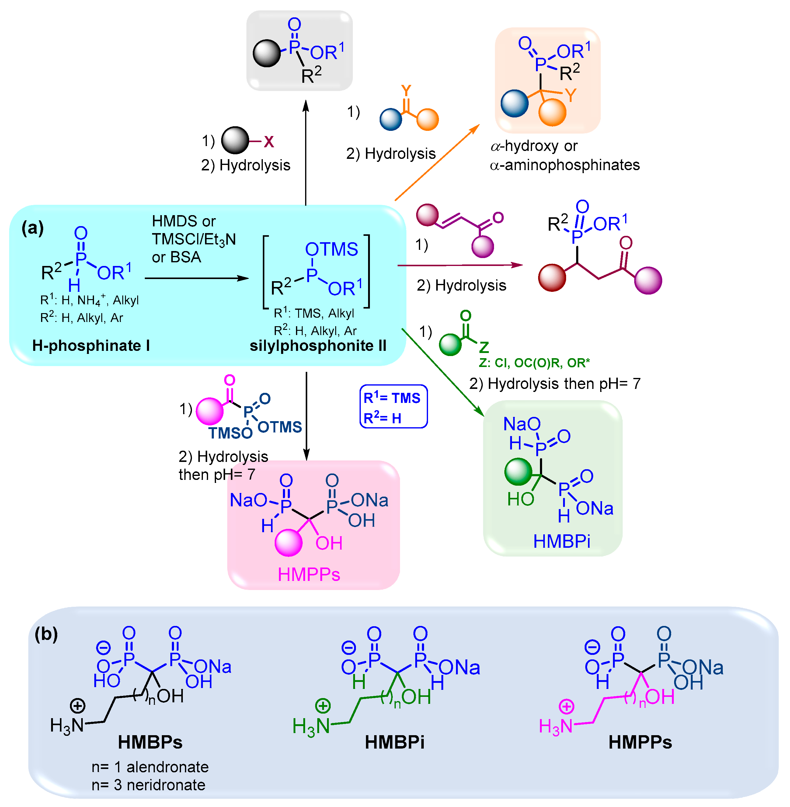 Molecules 28 06226 g001