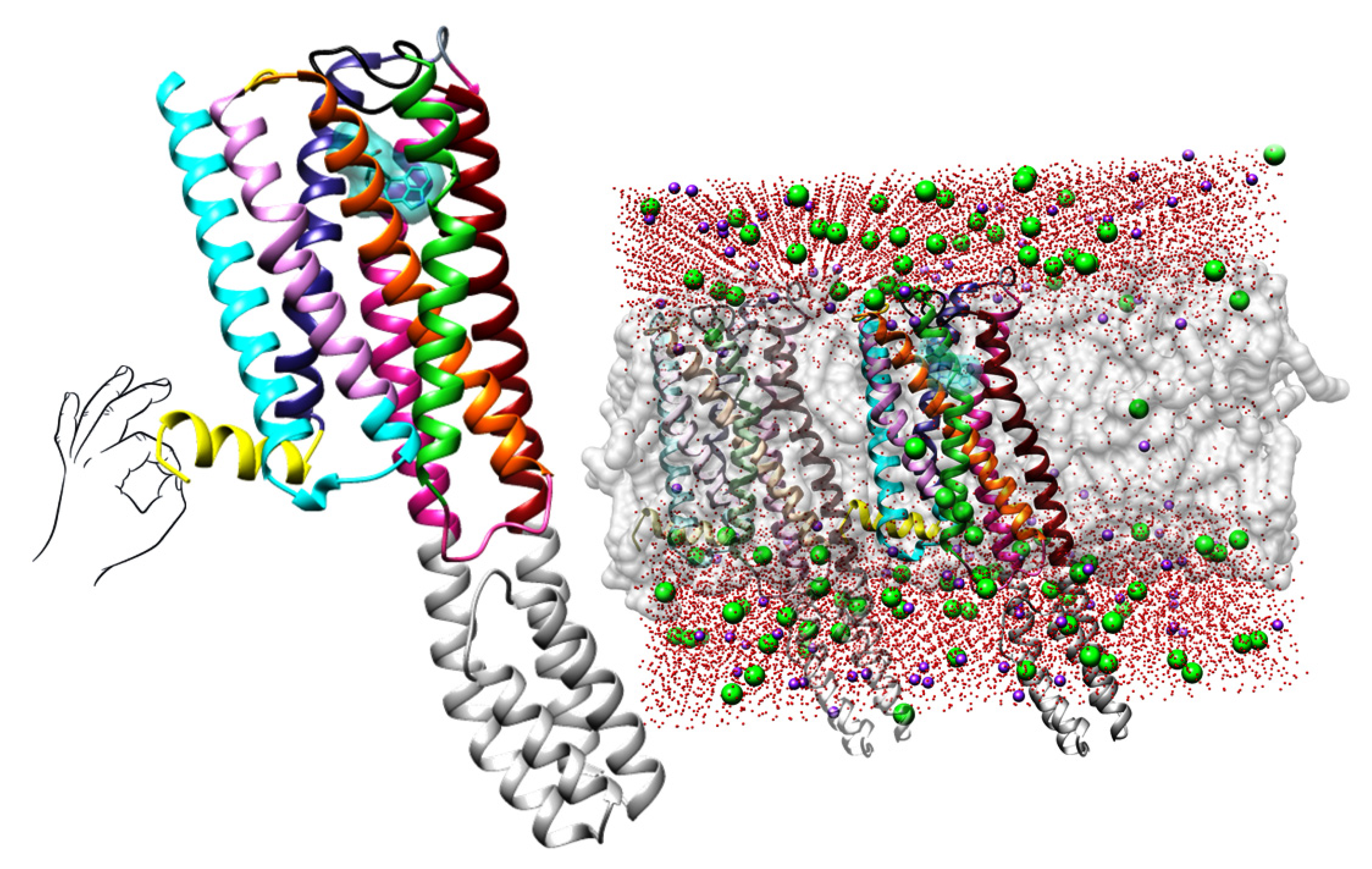 Molecules 28 06236 g001 Molecules 28 06236 g001