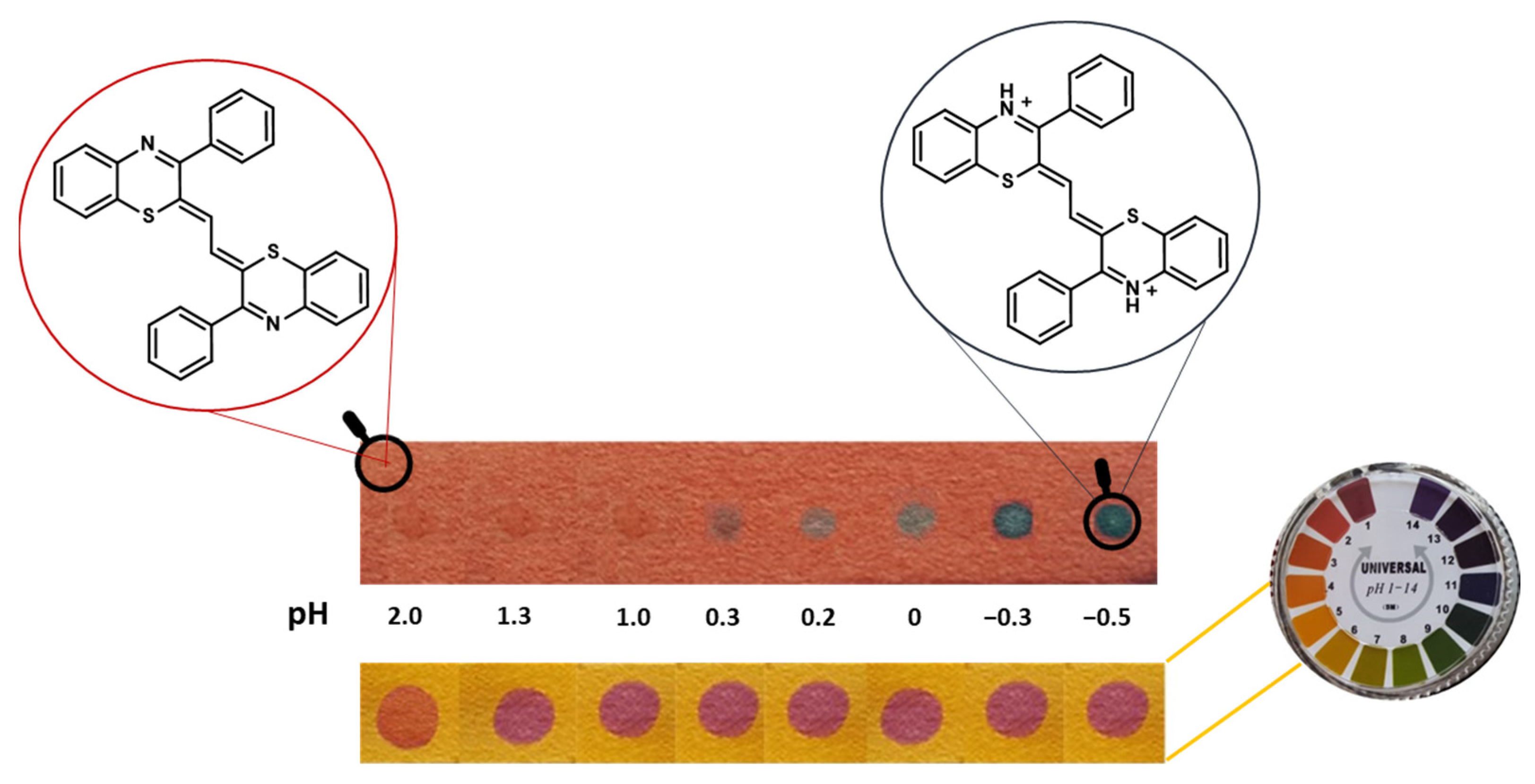 Molecules 28 06237 g004