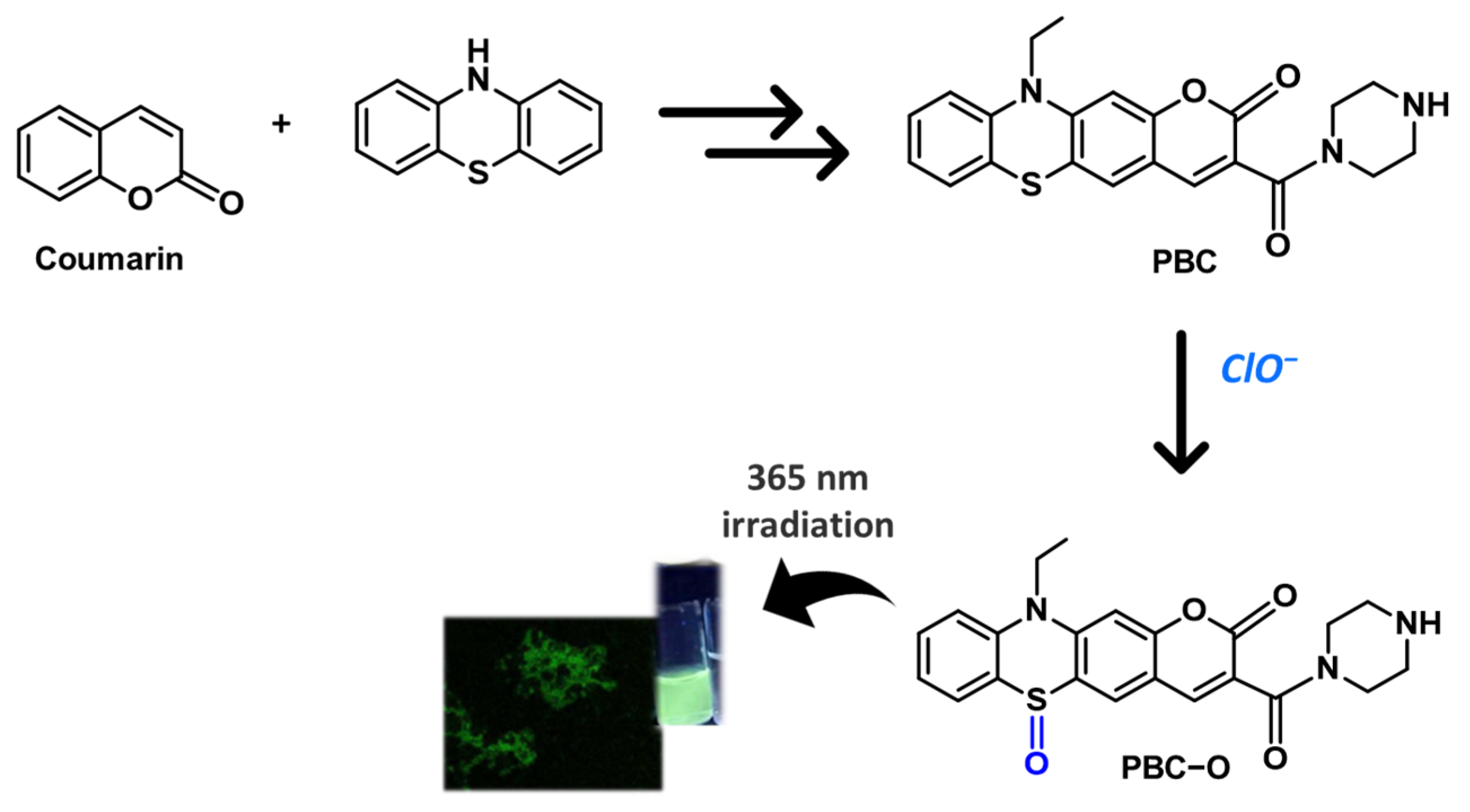 Molecules 28 06237 g010