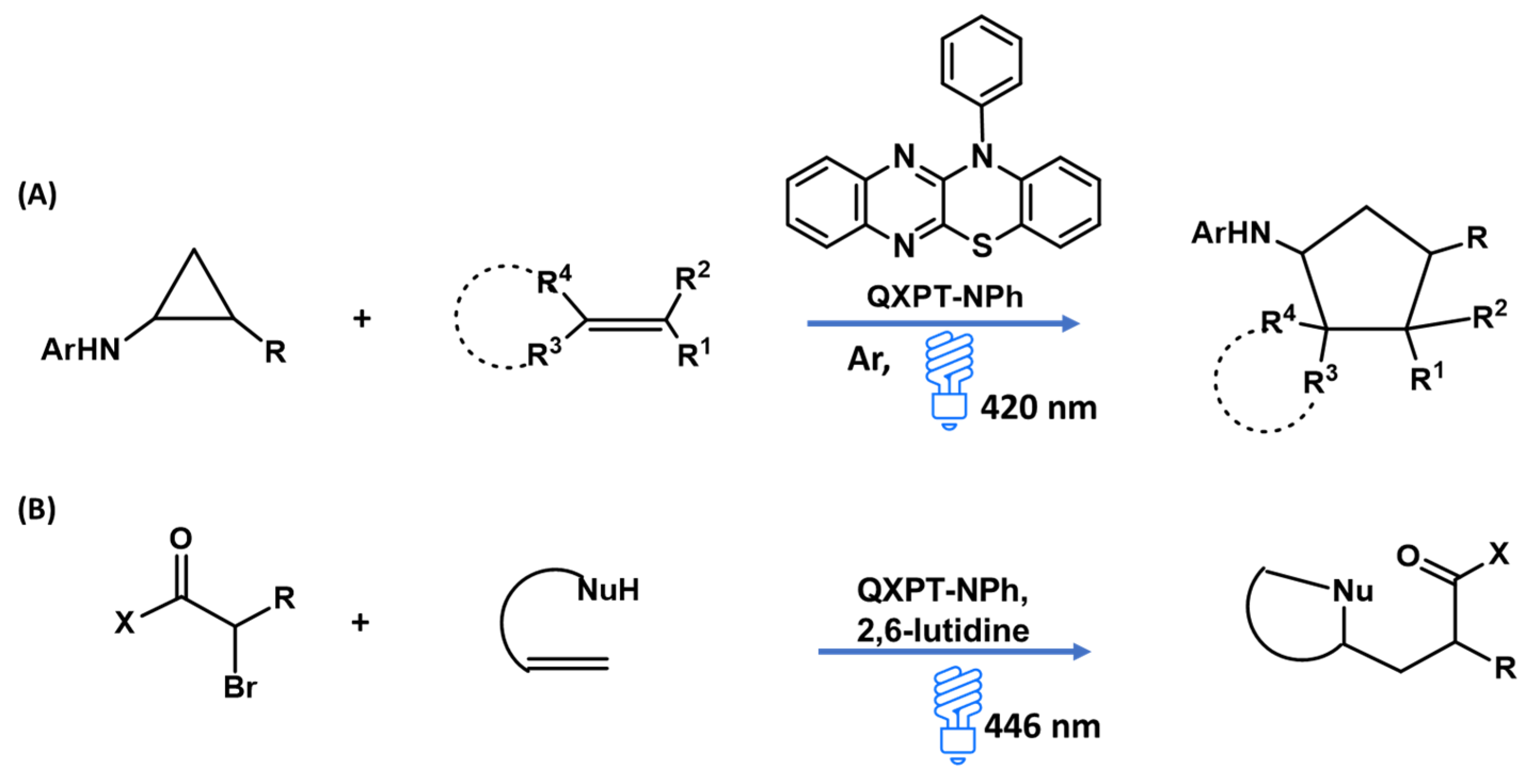Molecules 28 06237 g011