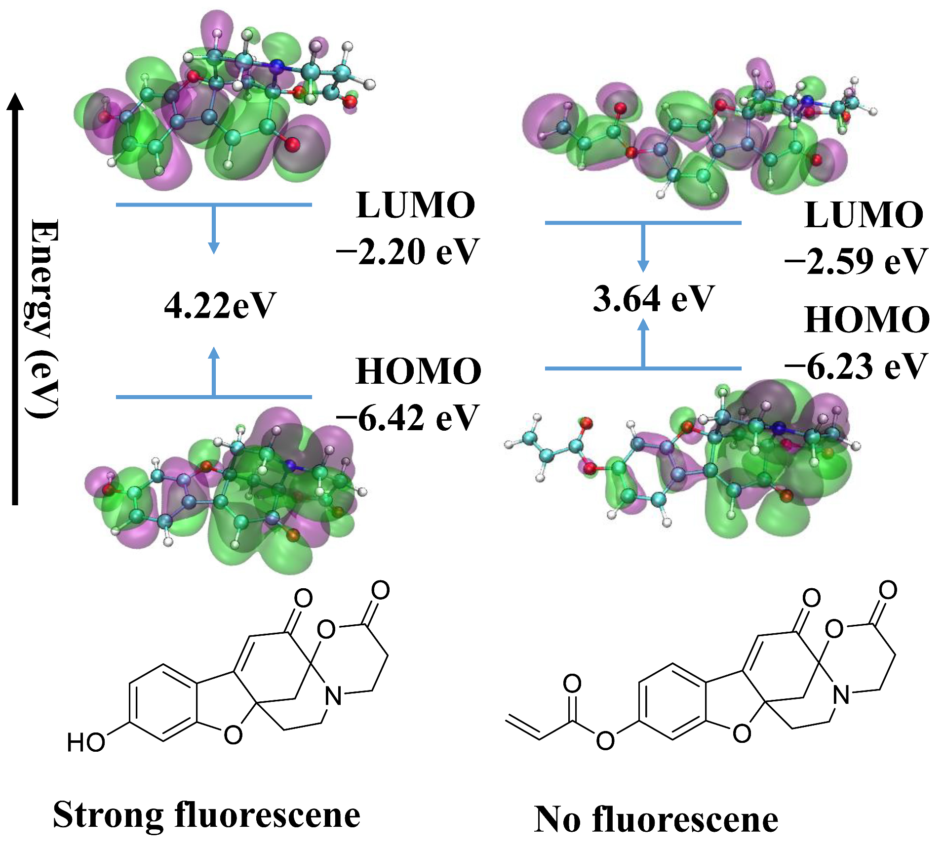 Molecules 28 06246 g007