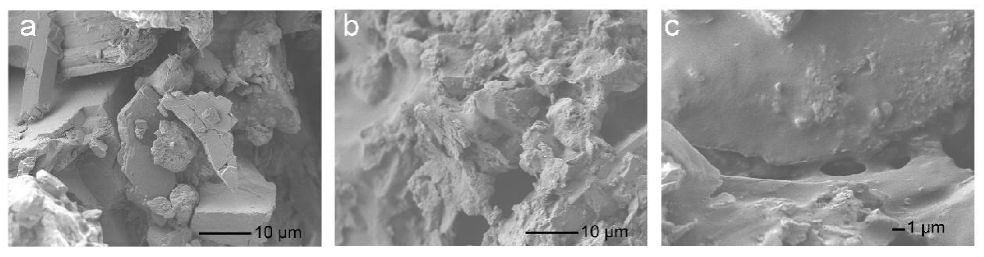 Molecules 28 06249 g008