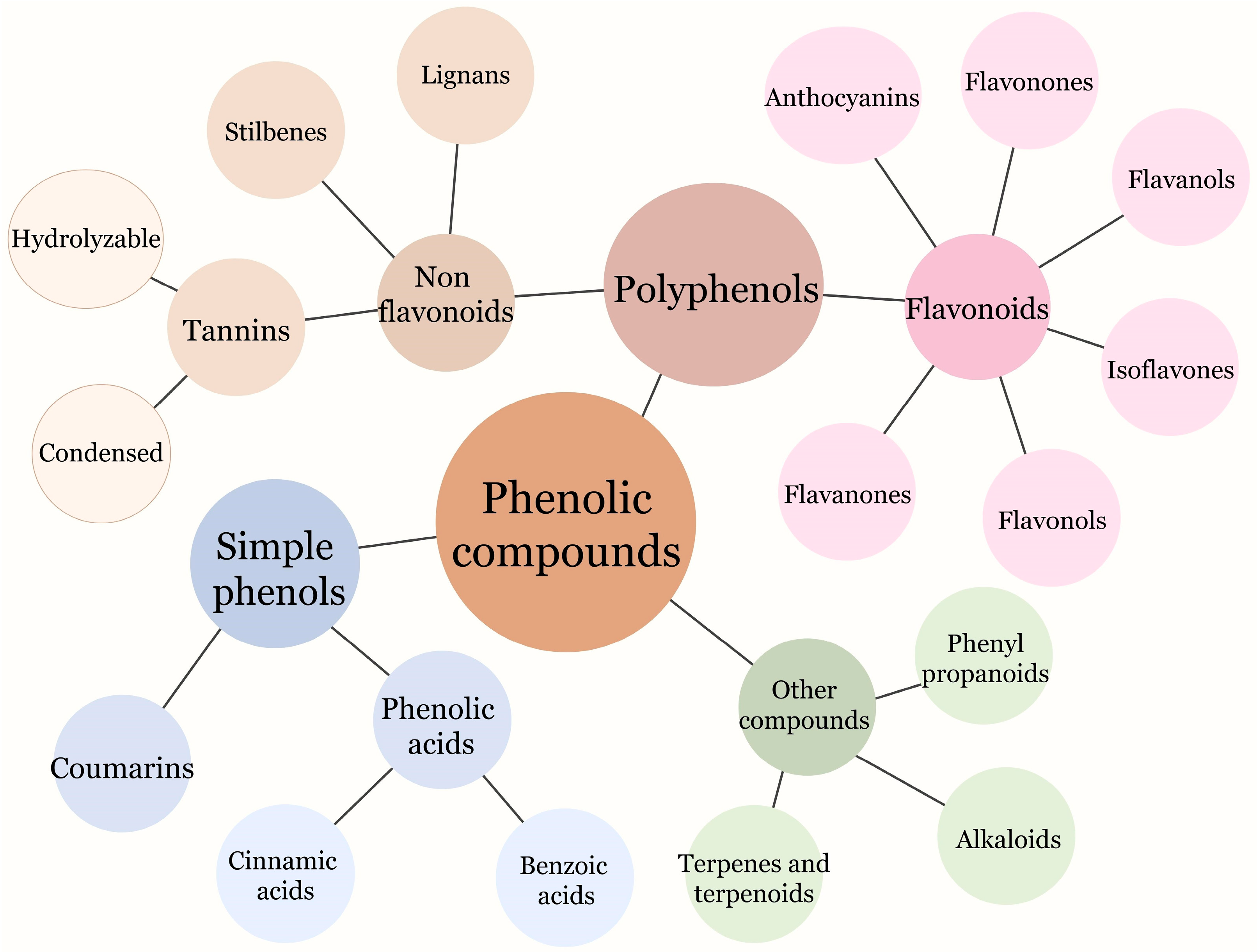 Molecules 28 06251 g001