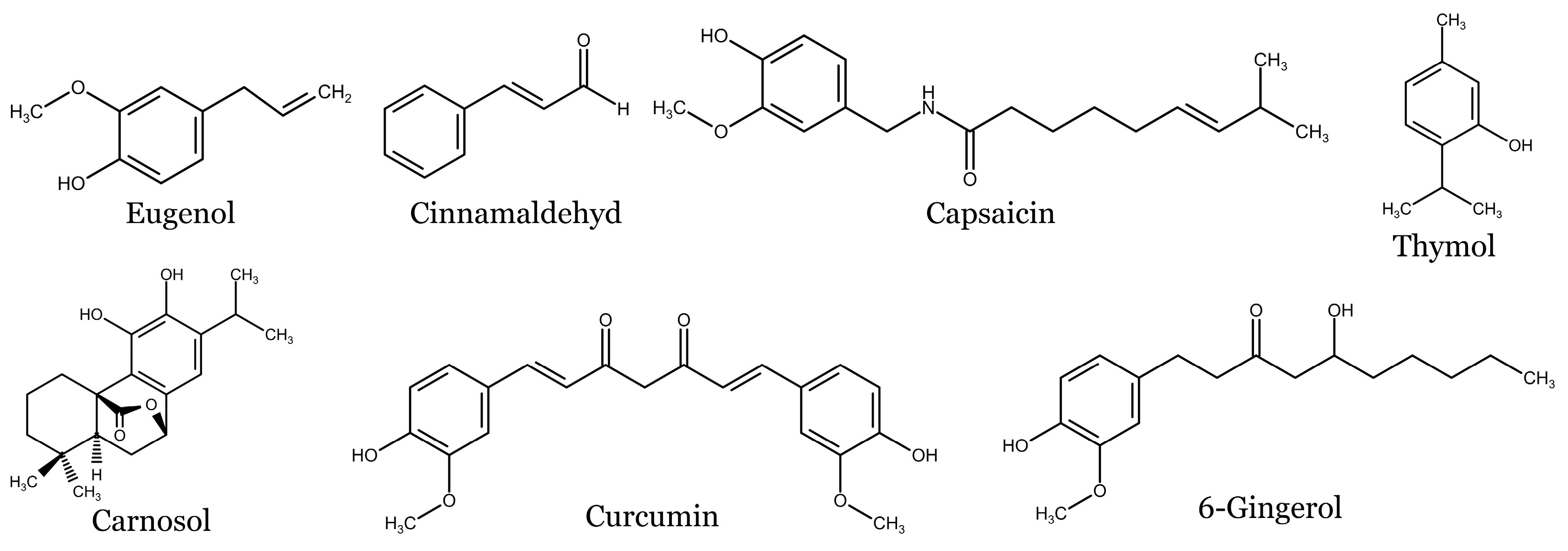 Molecules 28 06251 g004