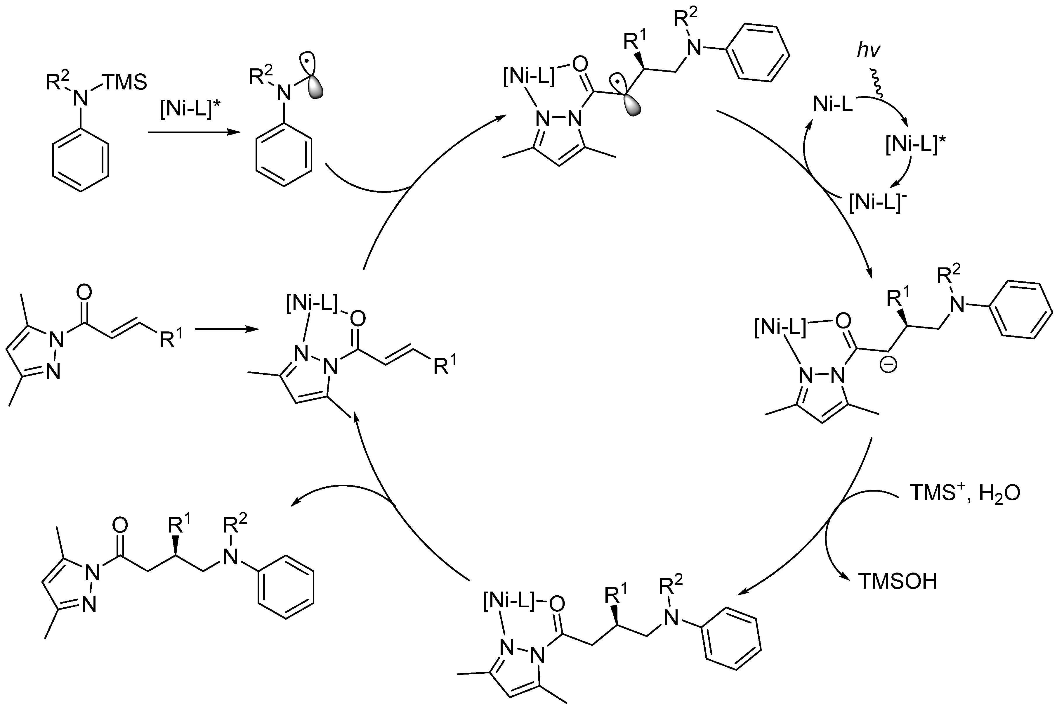 Molecules 28 06252 g007